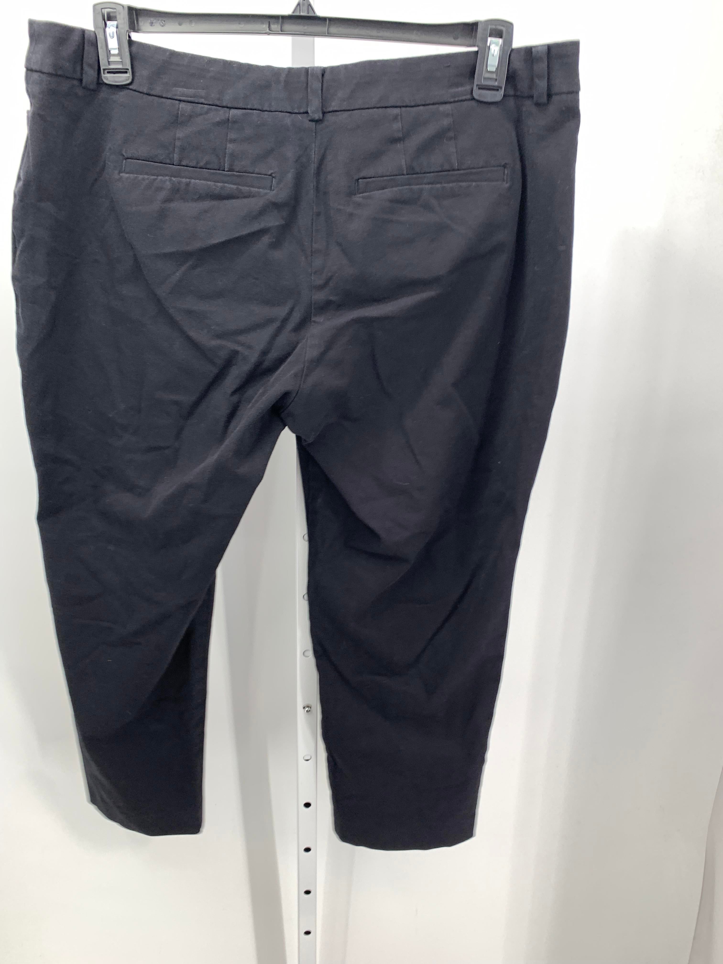 41 Hawthorn Size 16 W Womens Pants