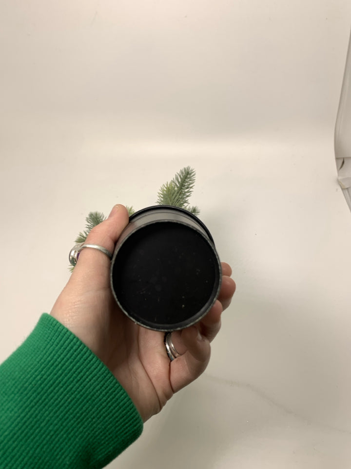MINI FAUX PINE TREE IN BLACK PLANTER.
