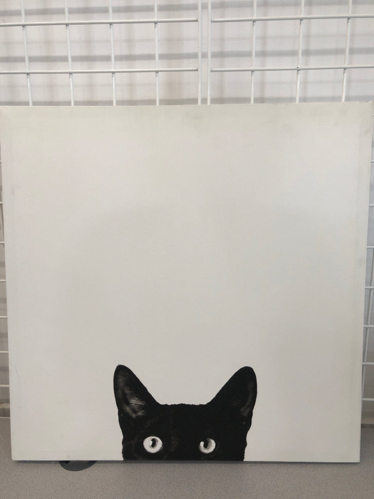 BLACK CAT EYES ON WHITE CANVAS.