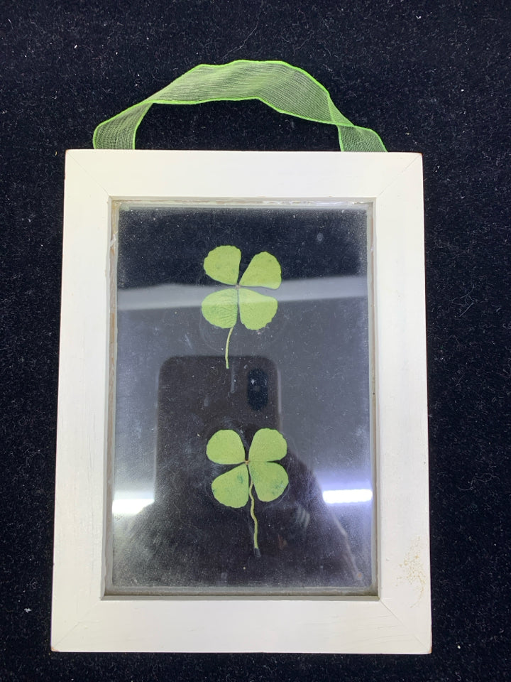 PRESSED SHAMROCK IN CREAM FRAME WALL HANGING.