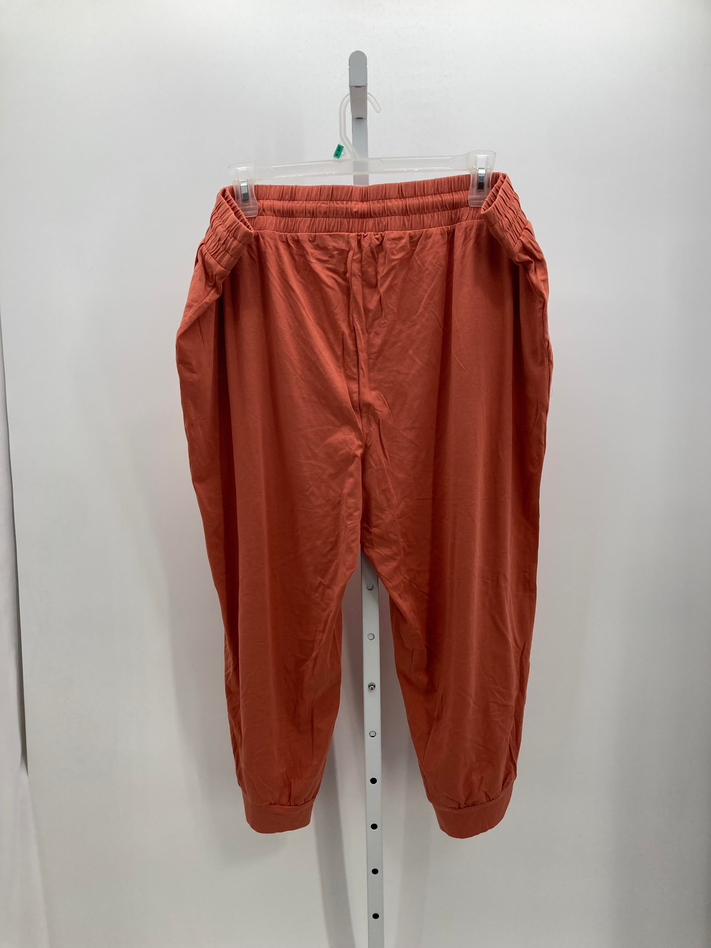 Size 2X Womens Pants