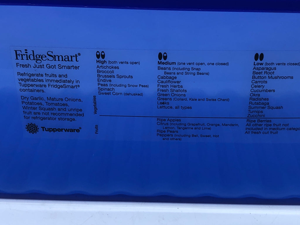 PLASTIC BLUE RECTANGLE TUPPERWARE STORAGE W/ LID.