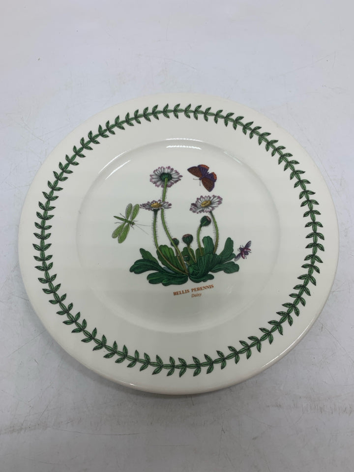 BELLIS PERENNIS PLATE.