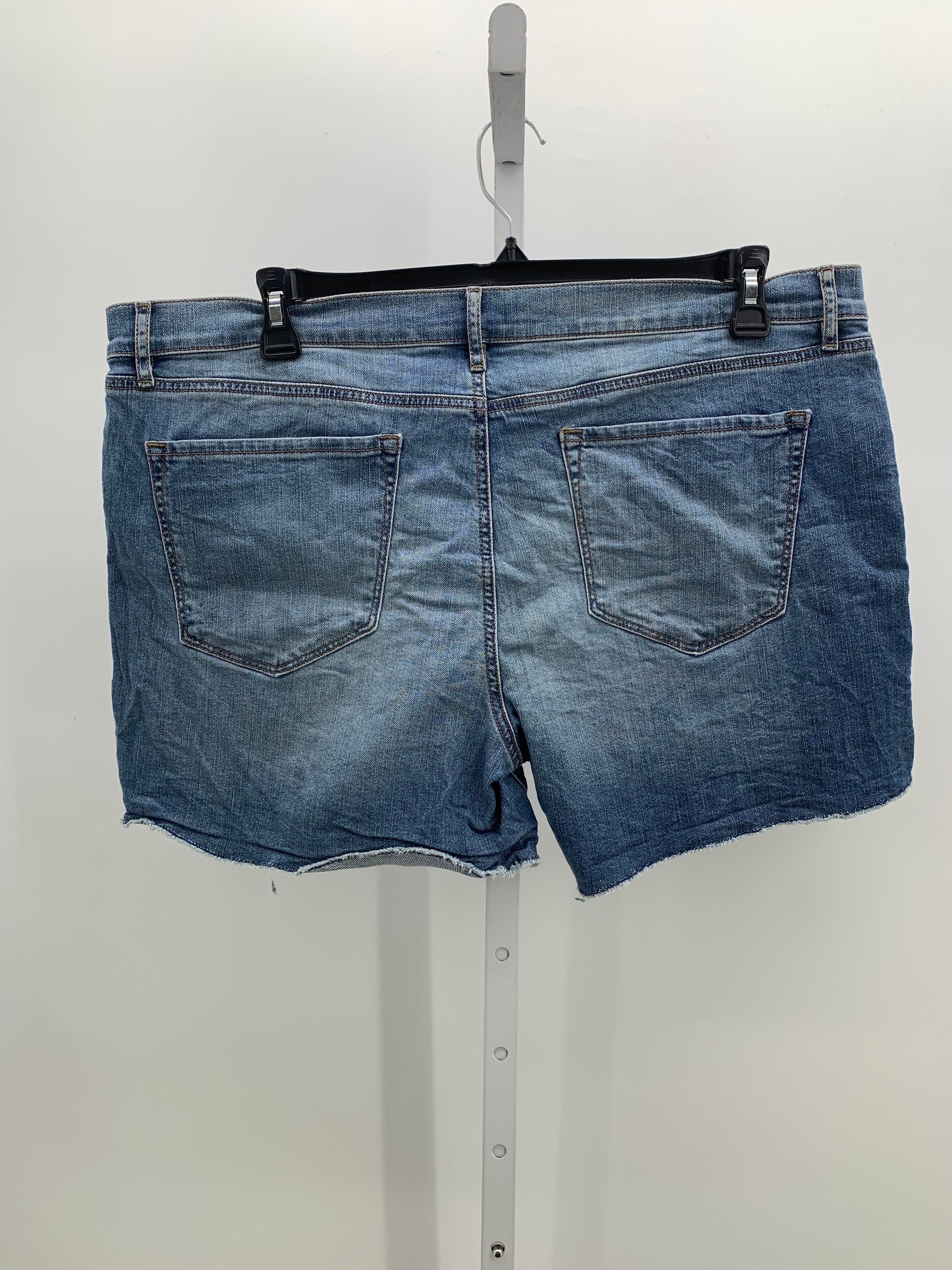 Loft Size 16 Misses Shorts