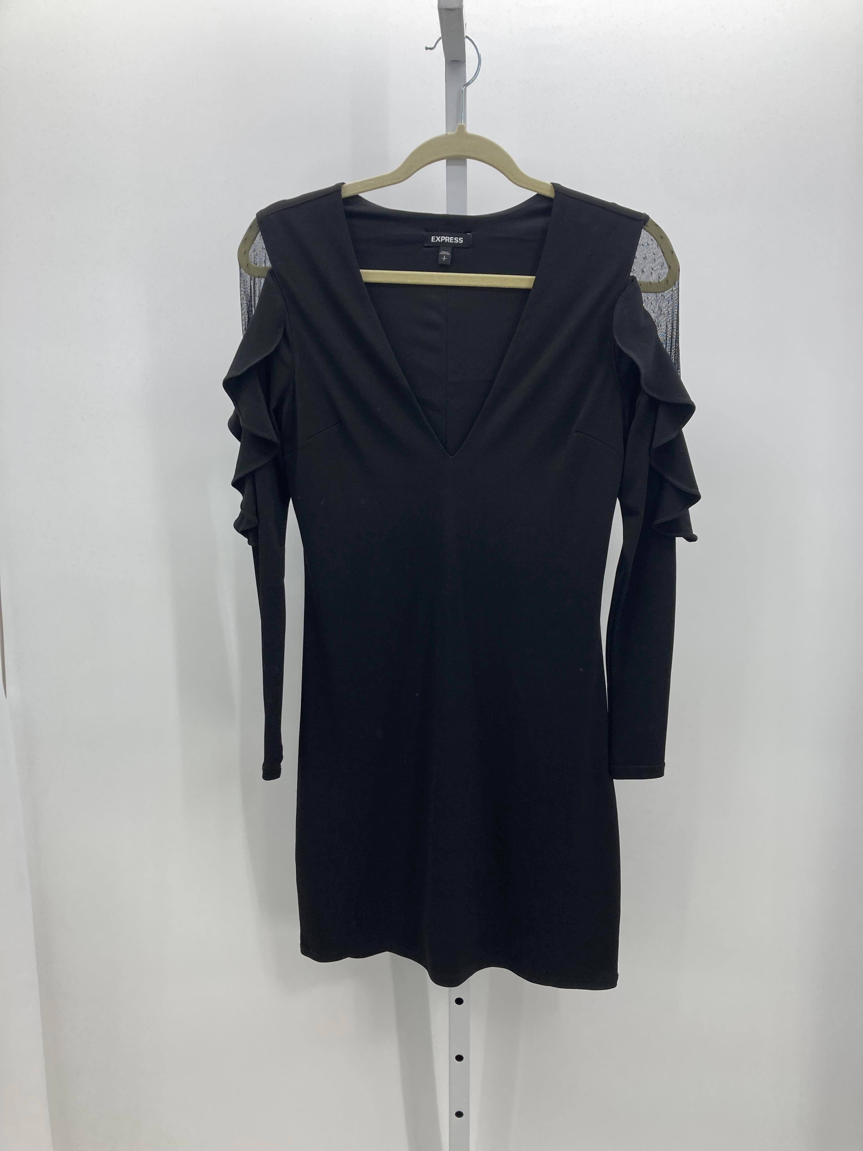 Express Size Small Misses Long Sleeve Dress