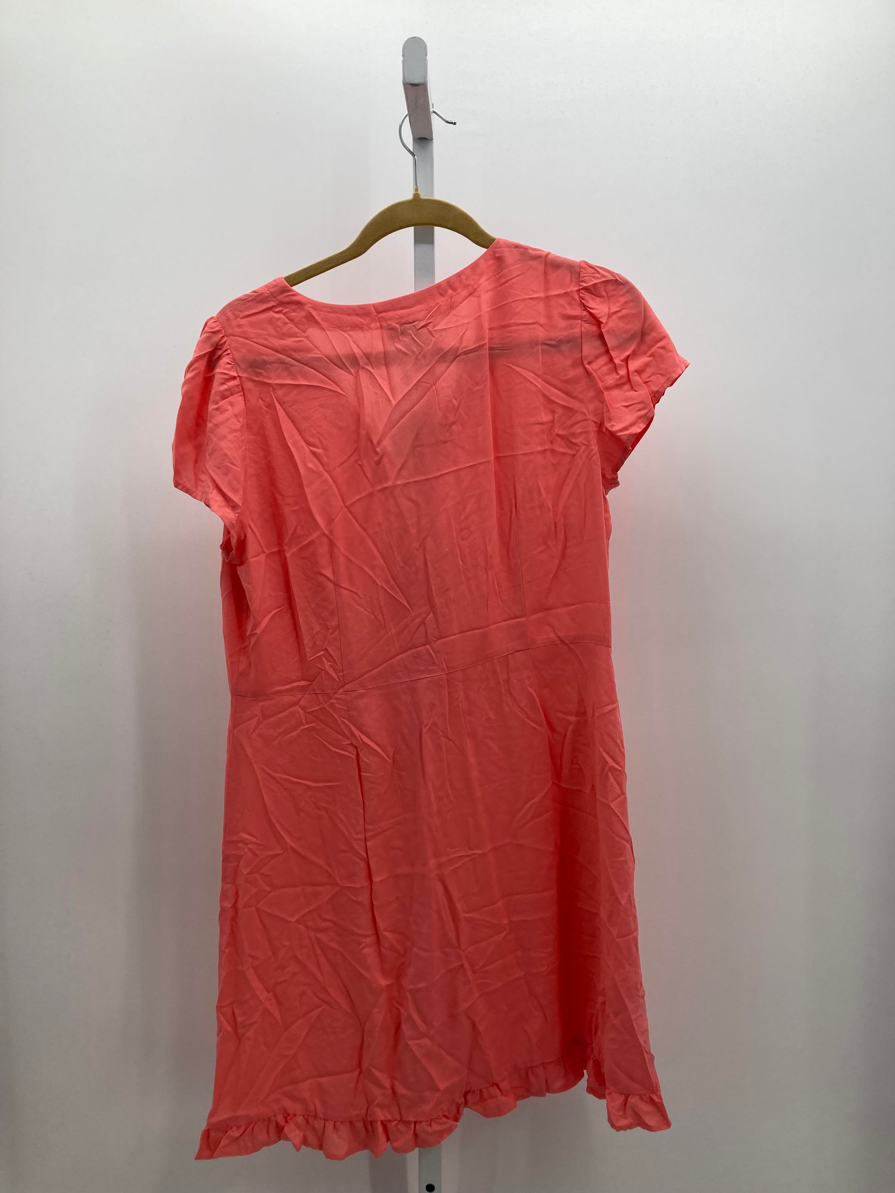 Loft Size 12 Petite Petite Short Sleeve Dress