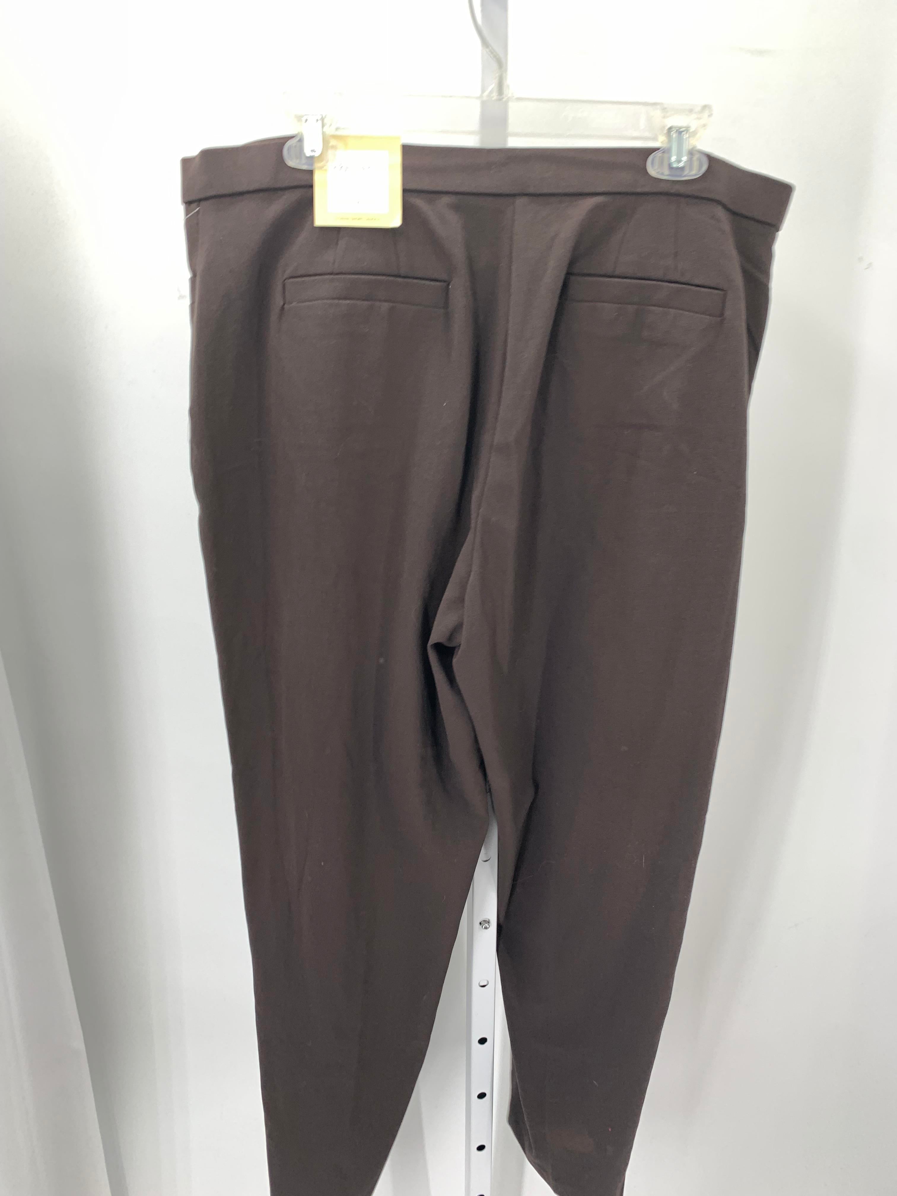 Dress Barn Size 14 W Womens Pants