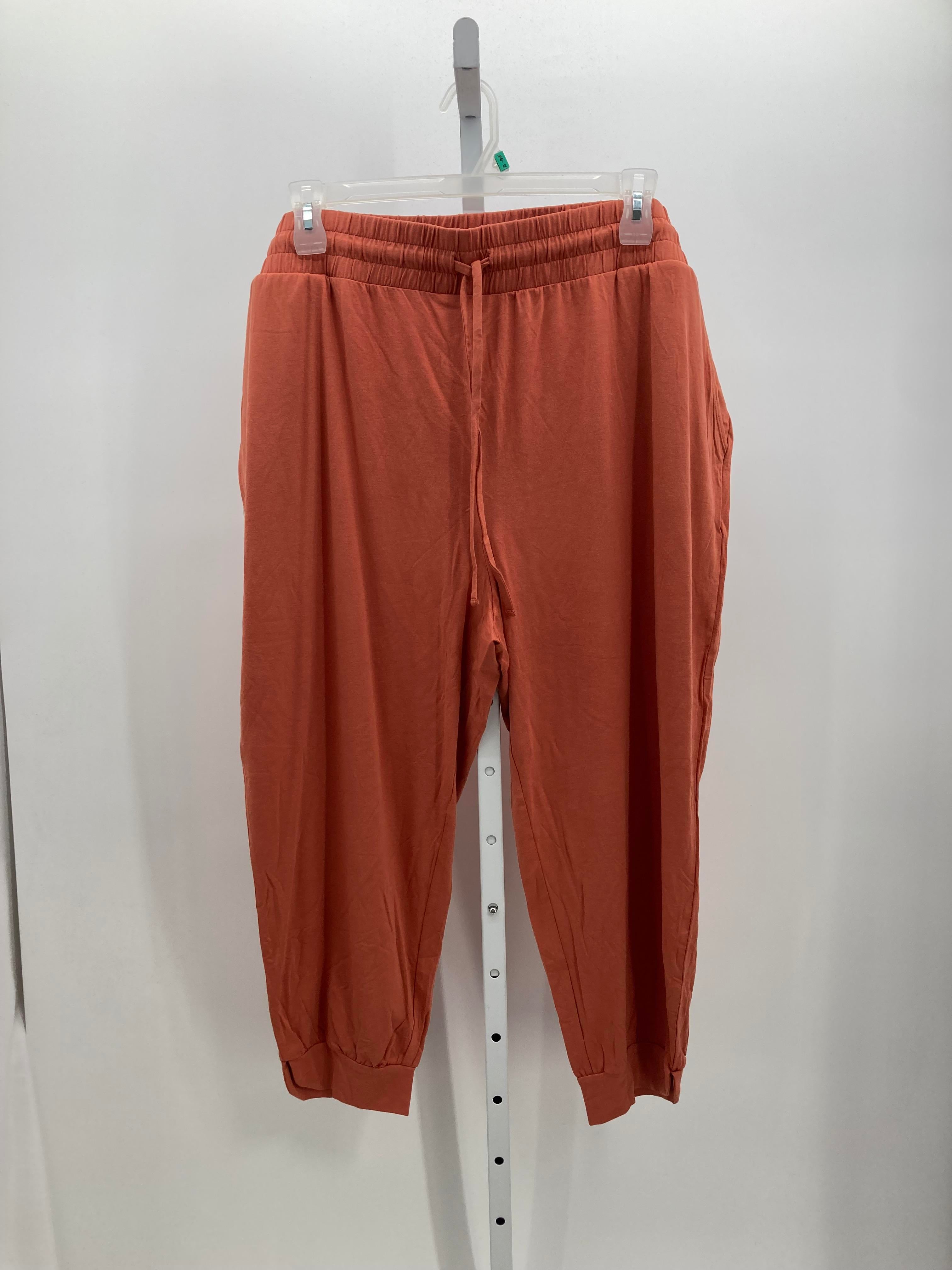Size 2X Womens Pants