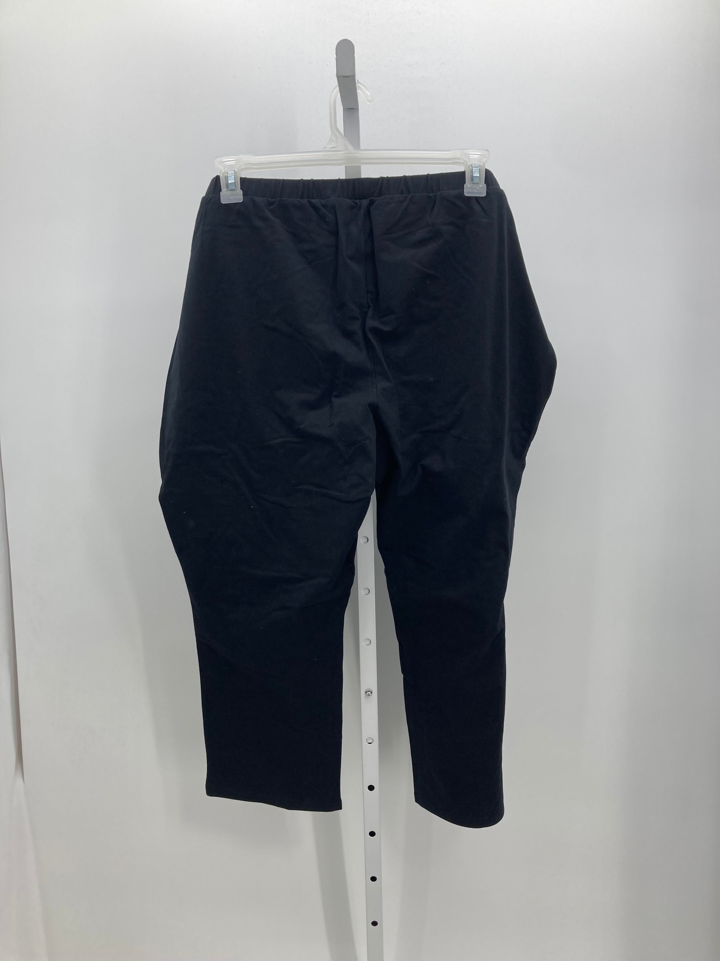 Attitudes Size 3XP Womens Pants
