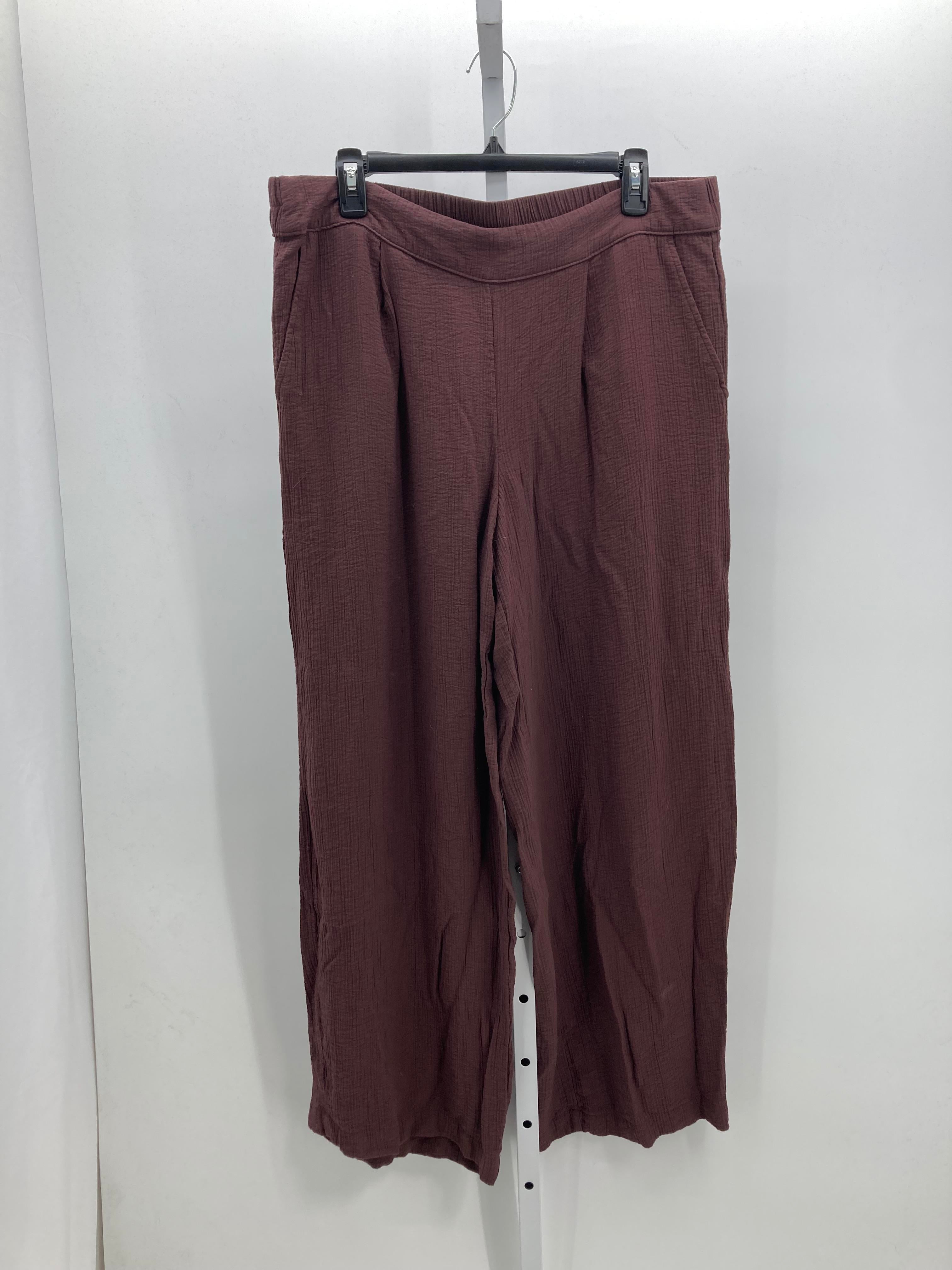 A New Day Size Large Misses Pants