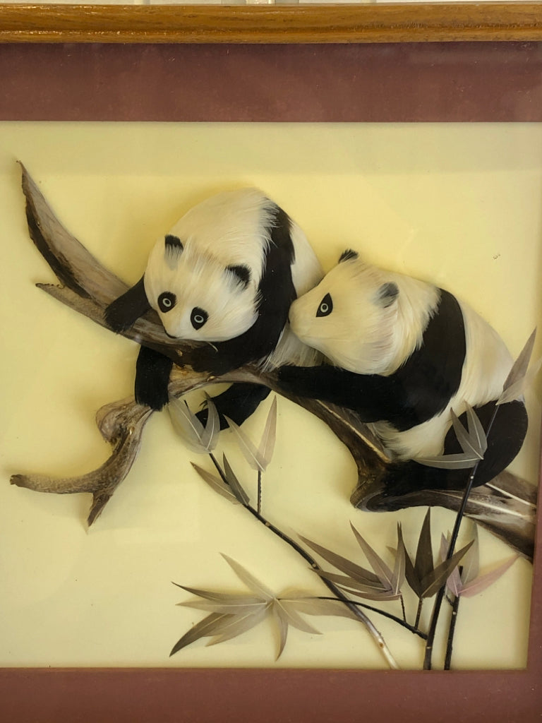 SHADOW BOX W/ FEATHERED PANDAS IN BRANCH.