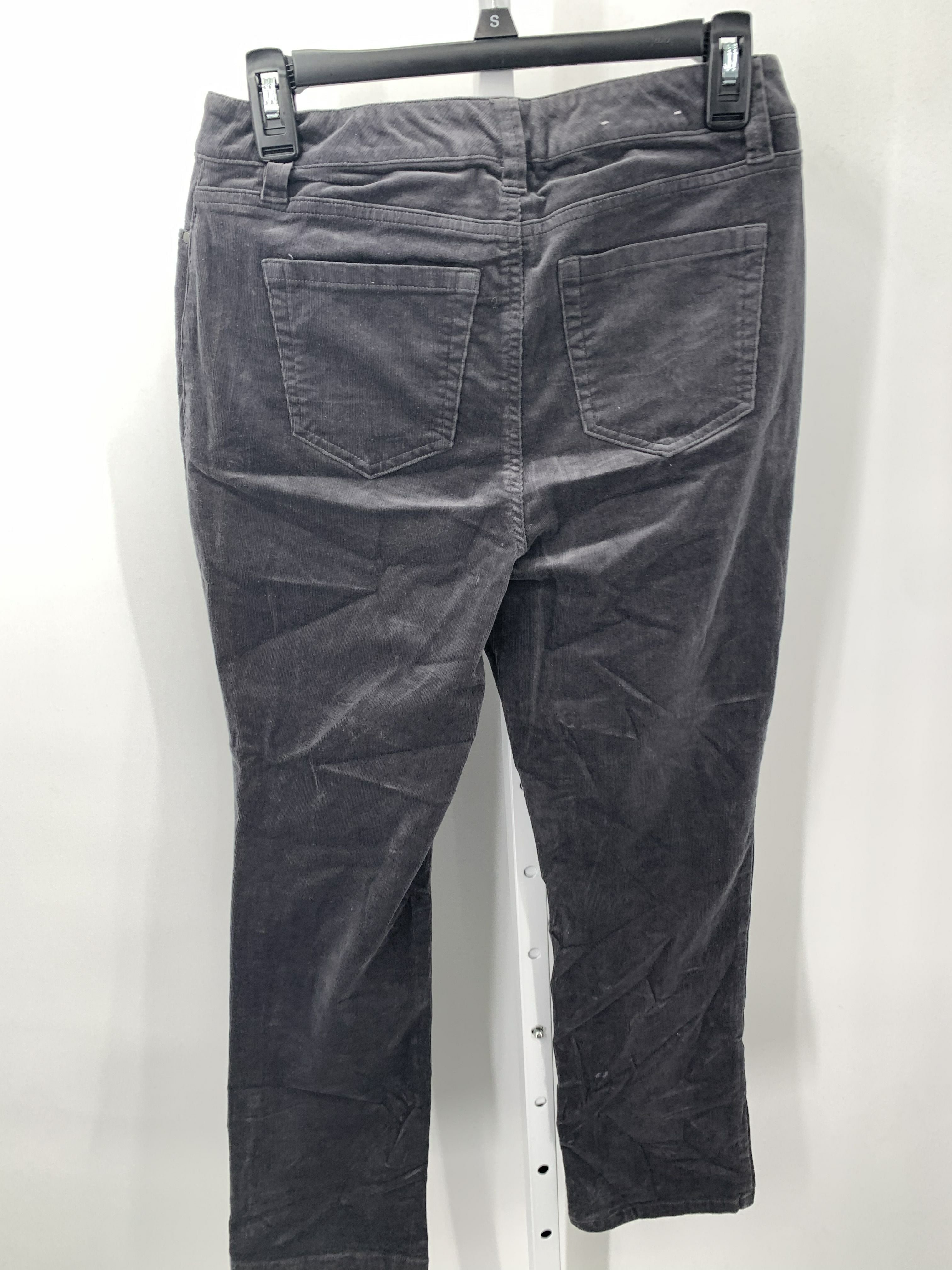 Charter Club Size 4 Petite Petite Pants