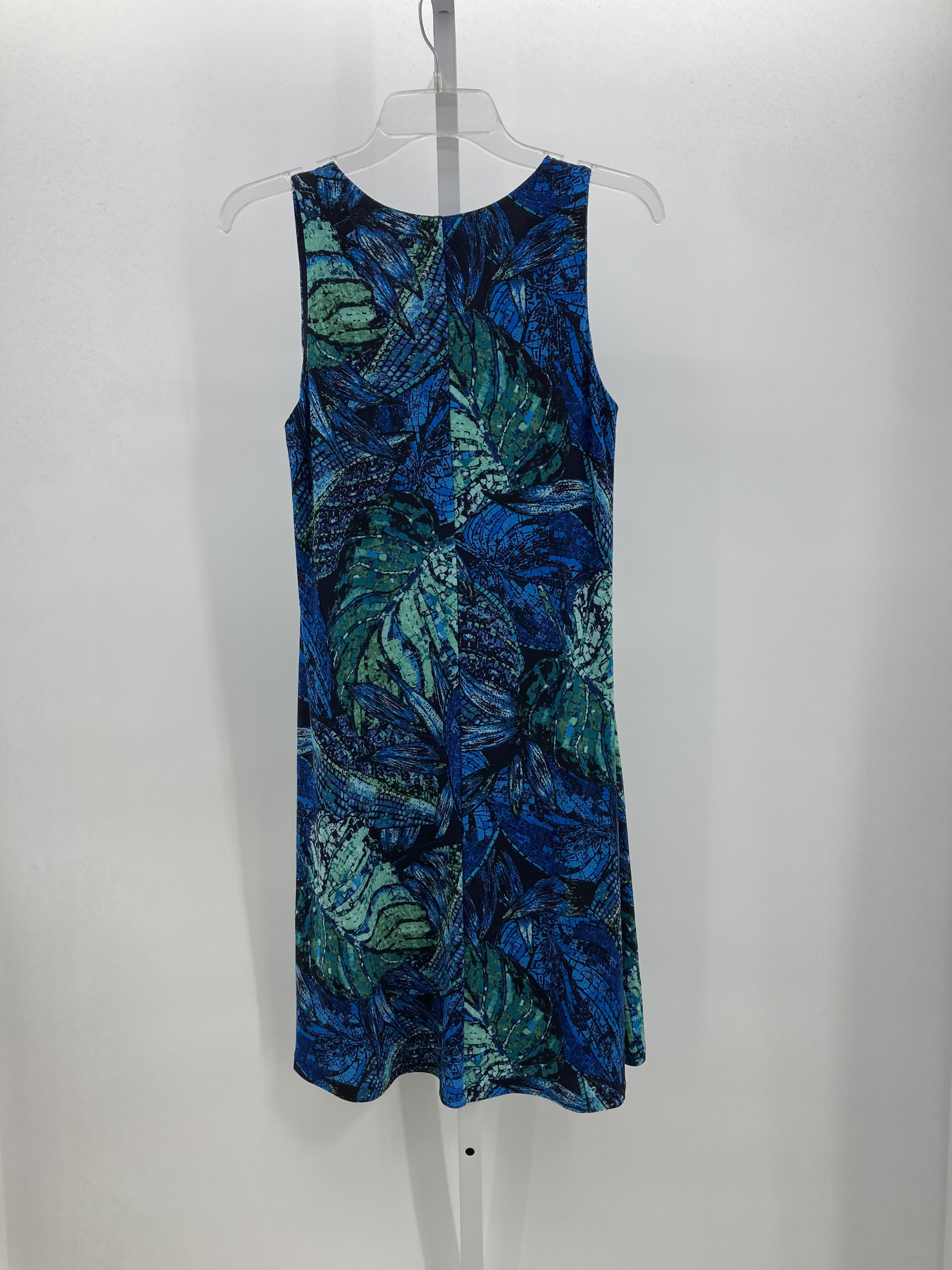 Anne Klein Size 2 Misses Sleeveless Dress