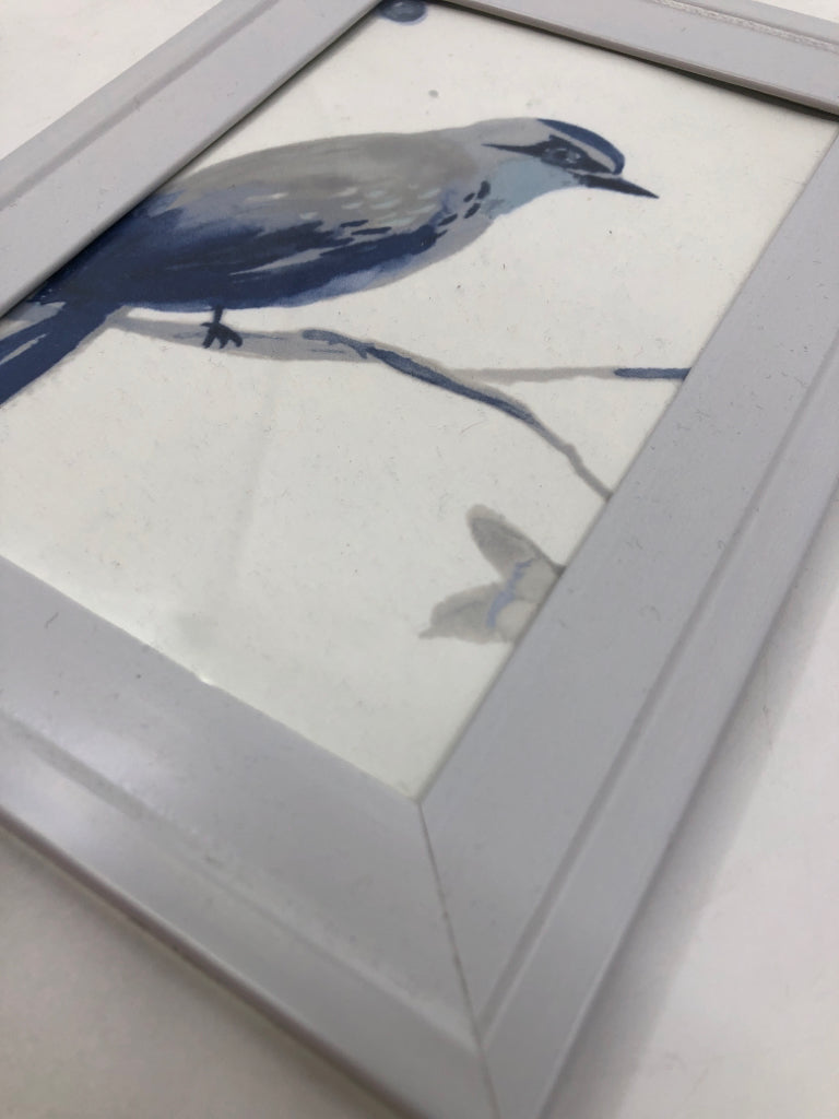 BLUE JAY IN WHITE FRAME WALL ART.