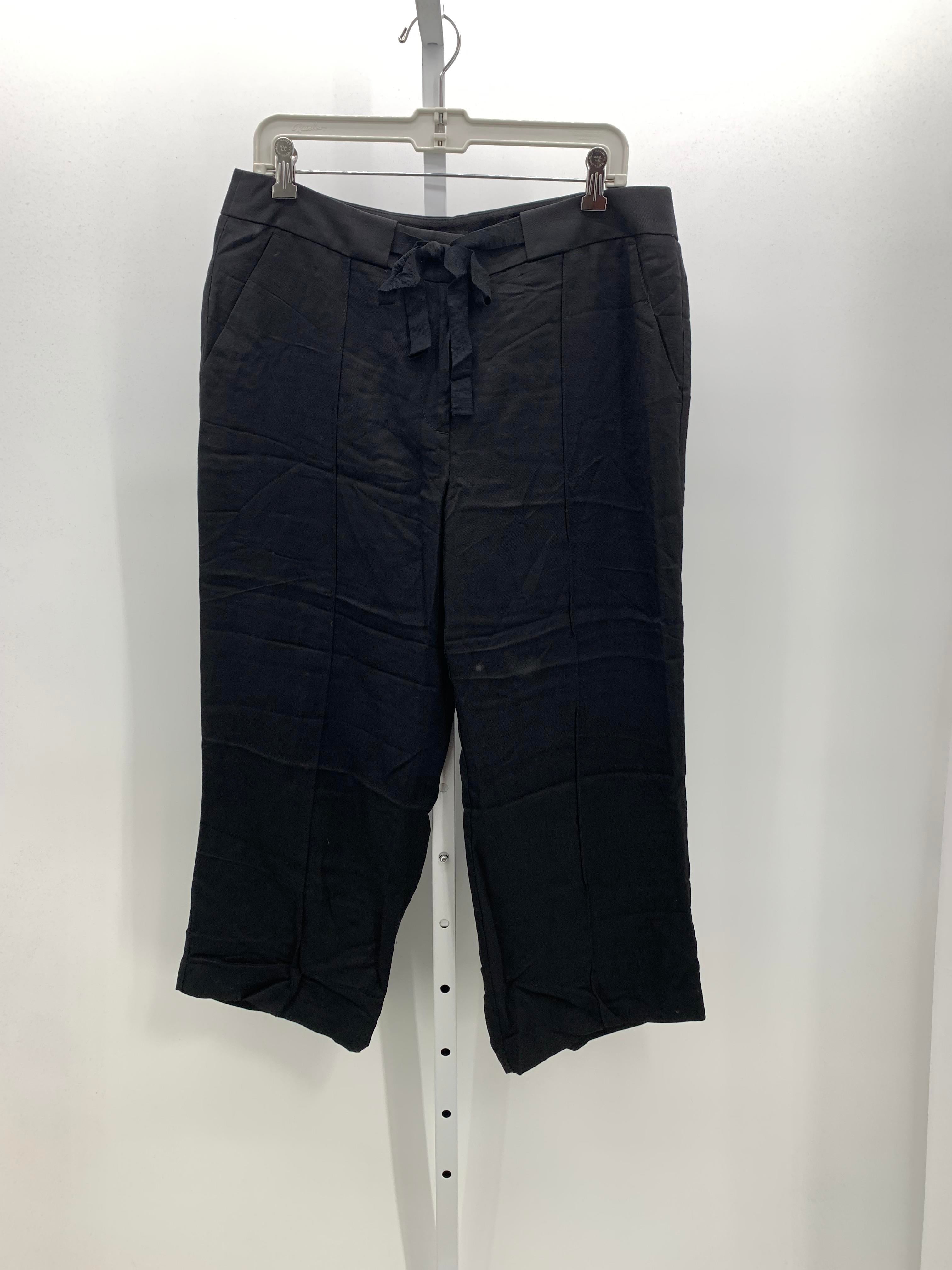 Loft Size 10 Misses Pants