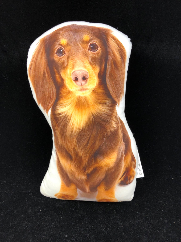 DACHSHUND ACCENT PILLOW.