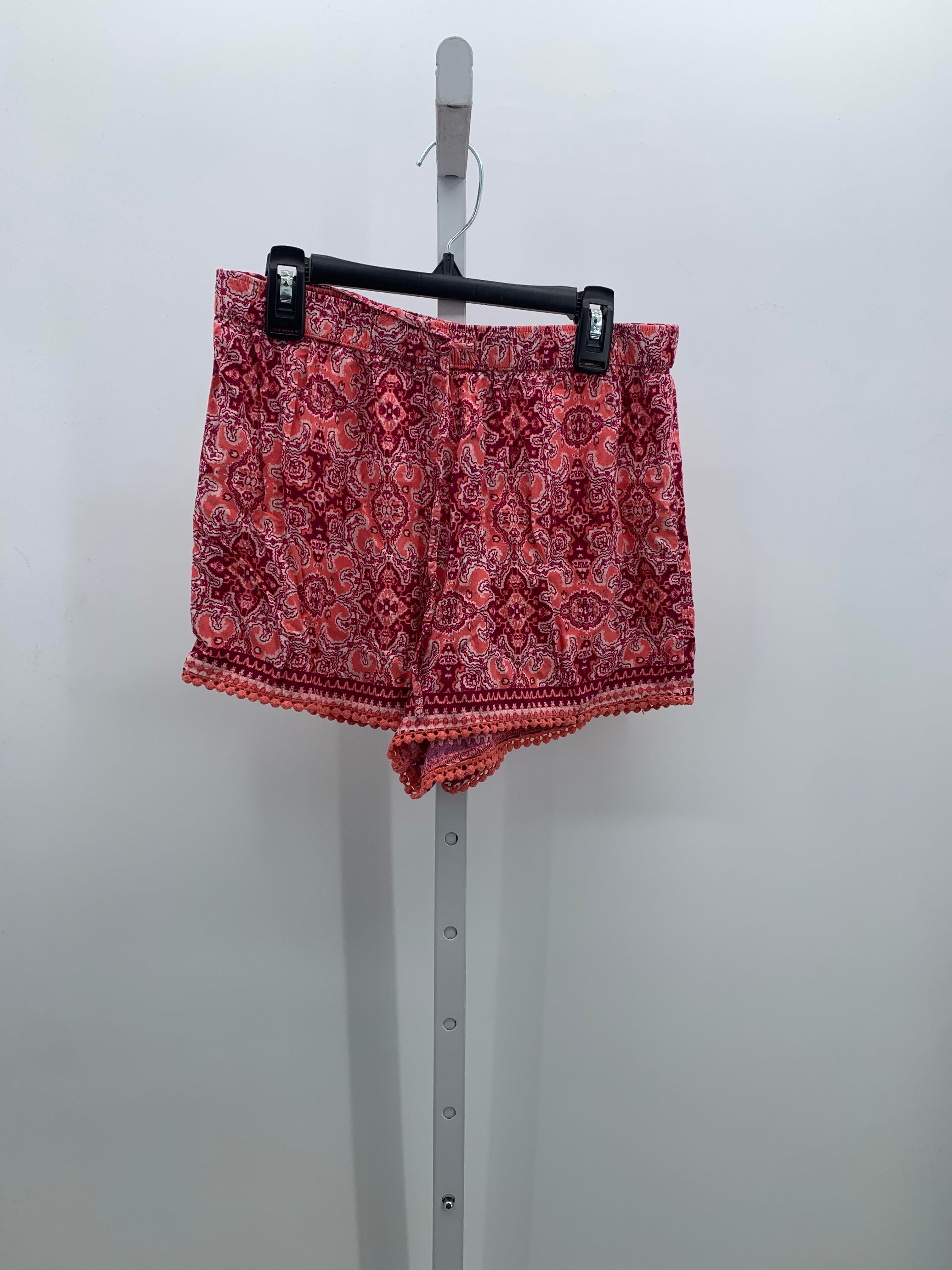 Hollister Size Small Juniors Shorts