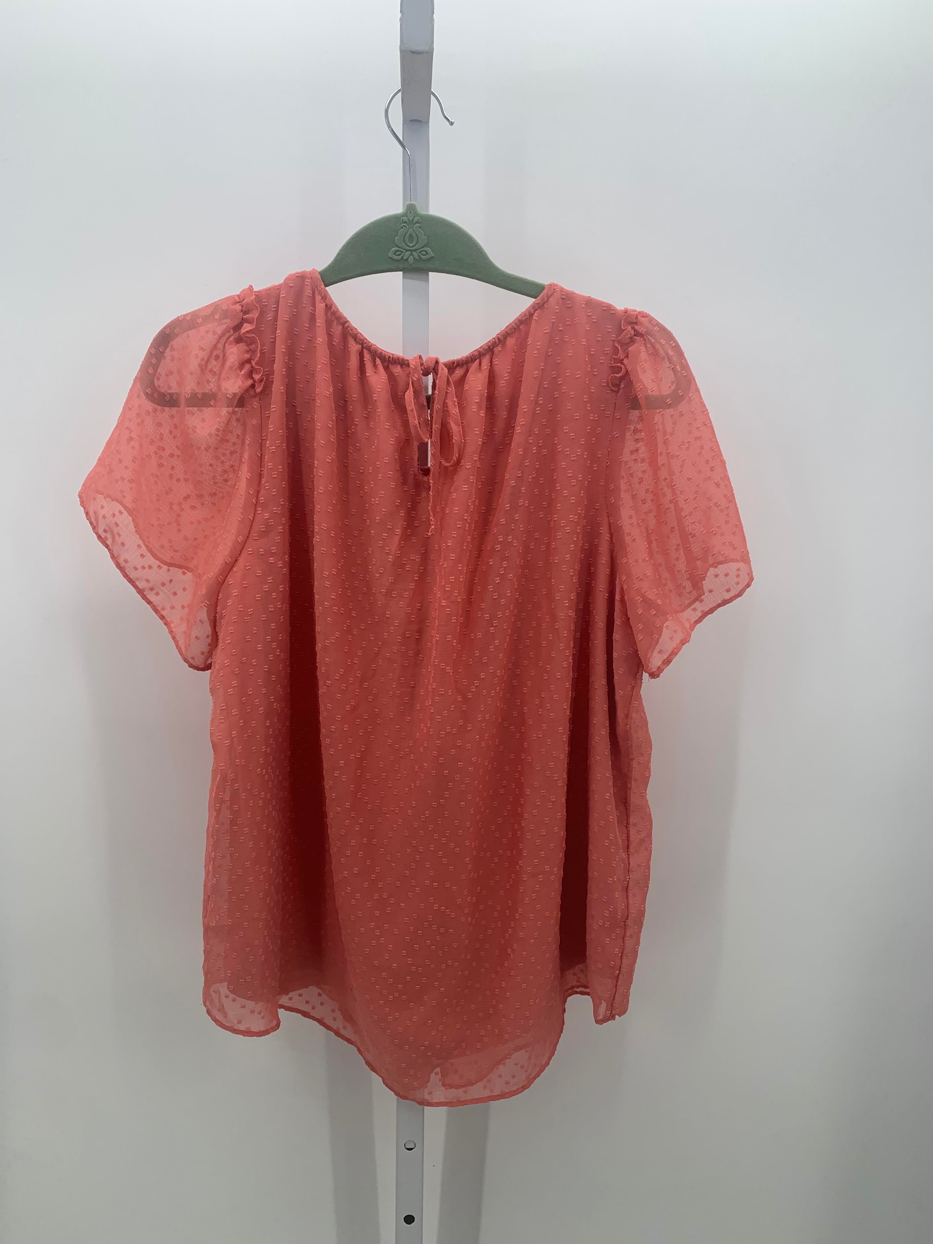 Lauren Conrad Size Large Misses Short Sleeve Shirt
