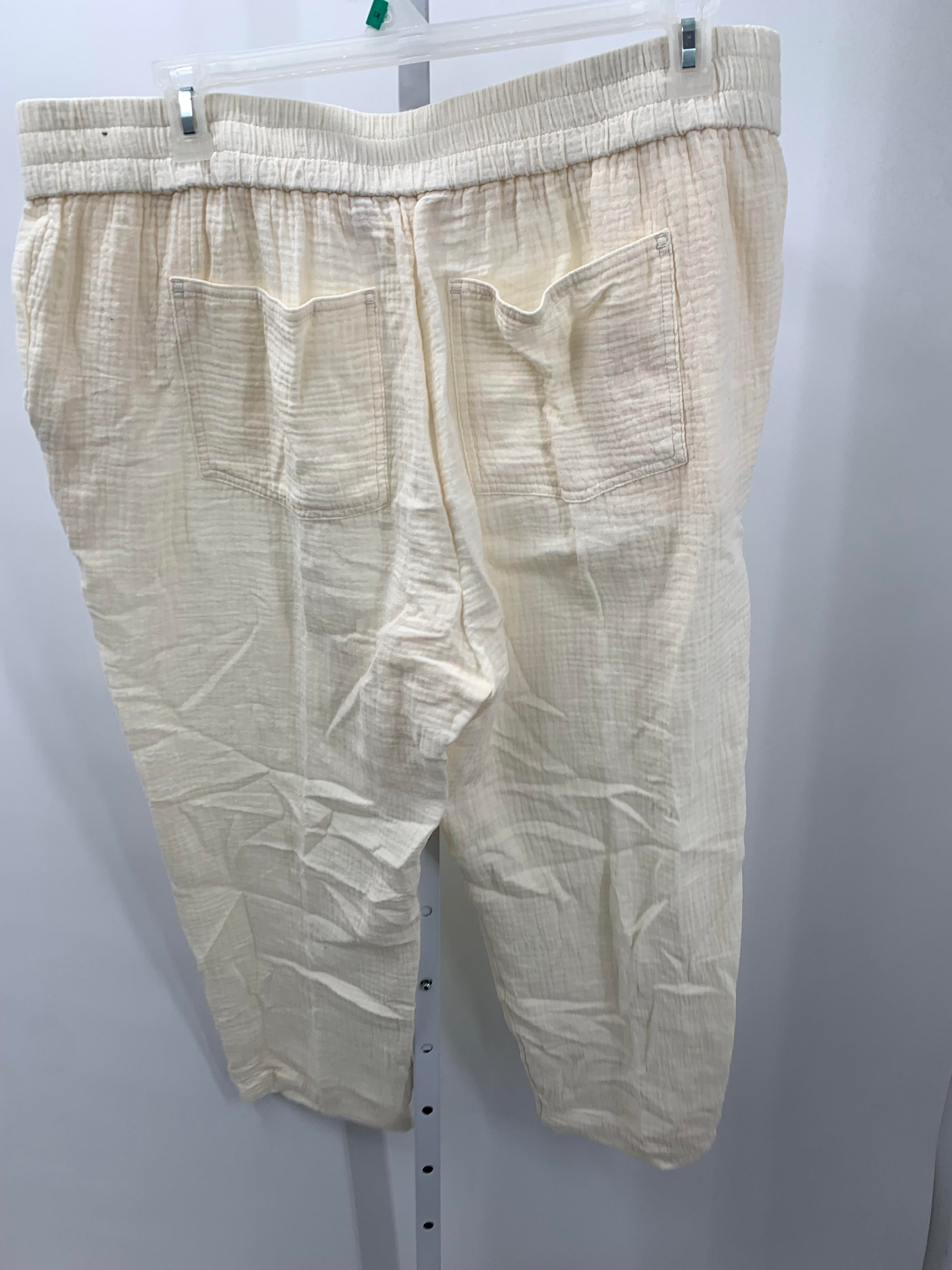 Soft Surroundings Size 1X Womens Pants