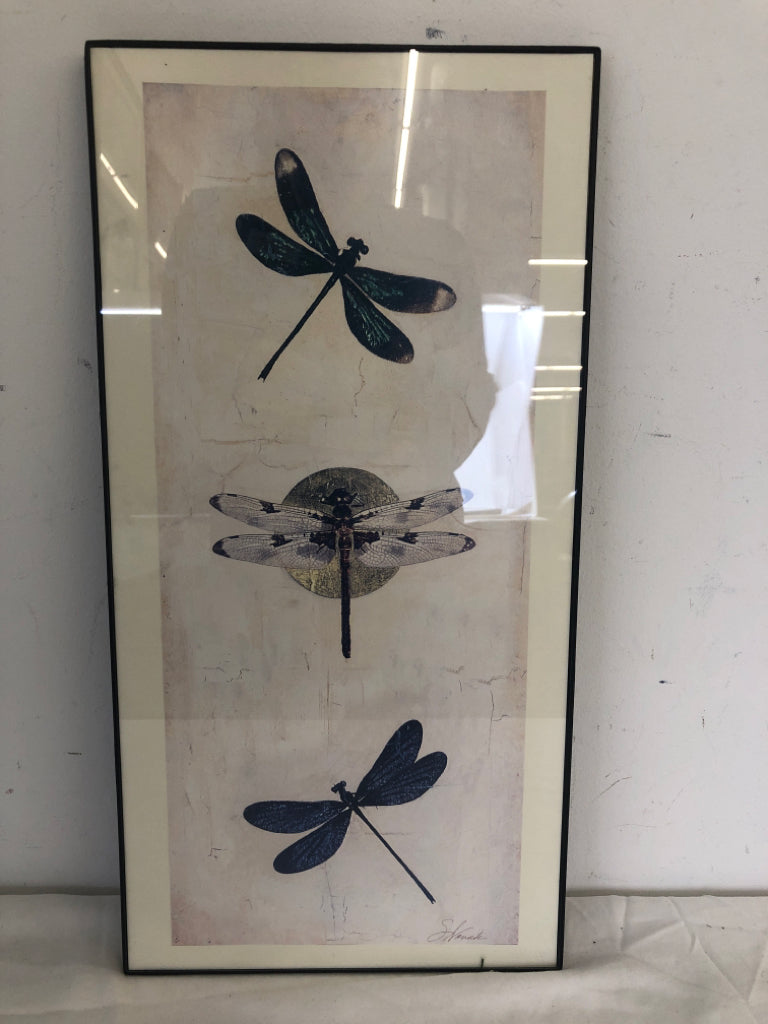 DRAGONFLY WALL HANGING IN BLACK FRAME.