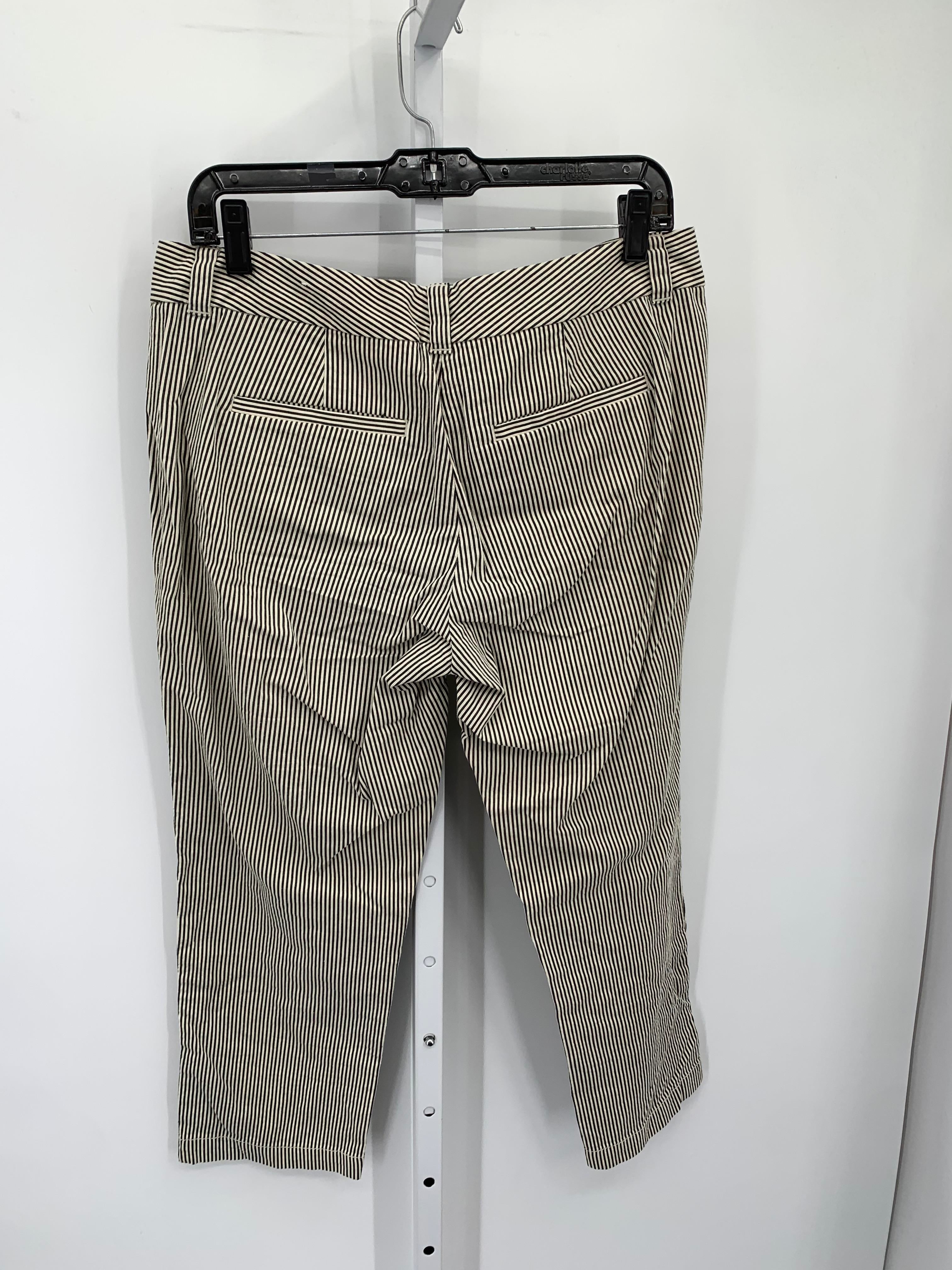 Loft Size 6 Misses Cropped Pants