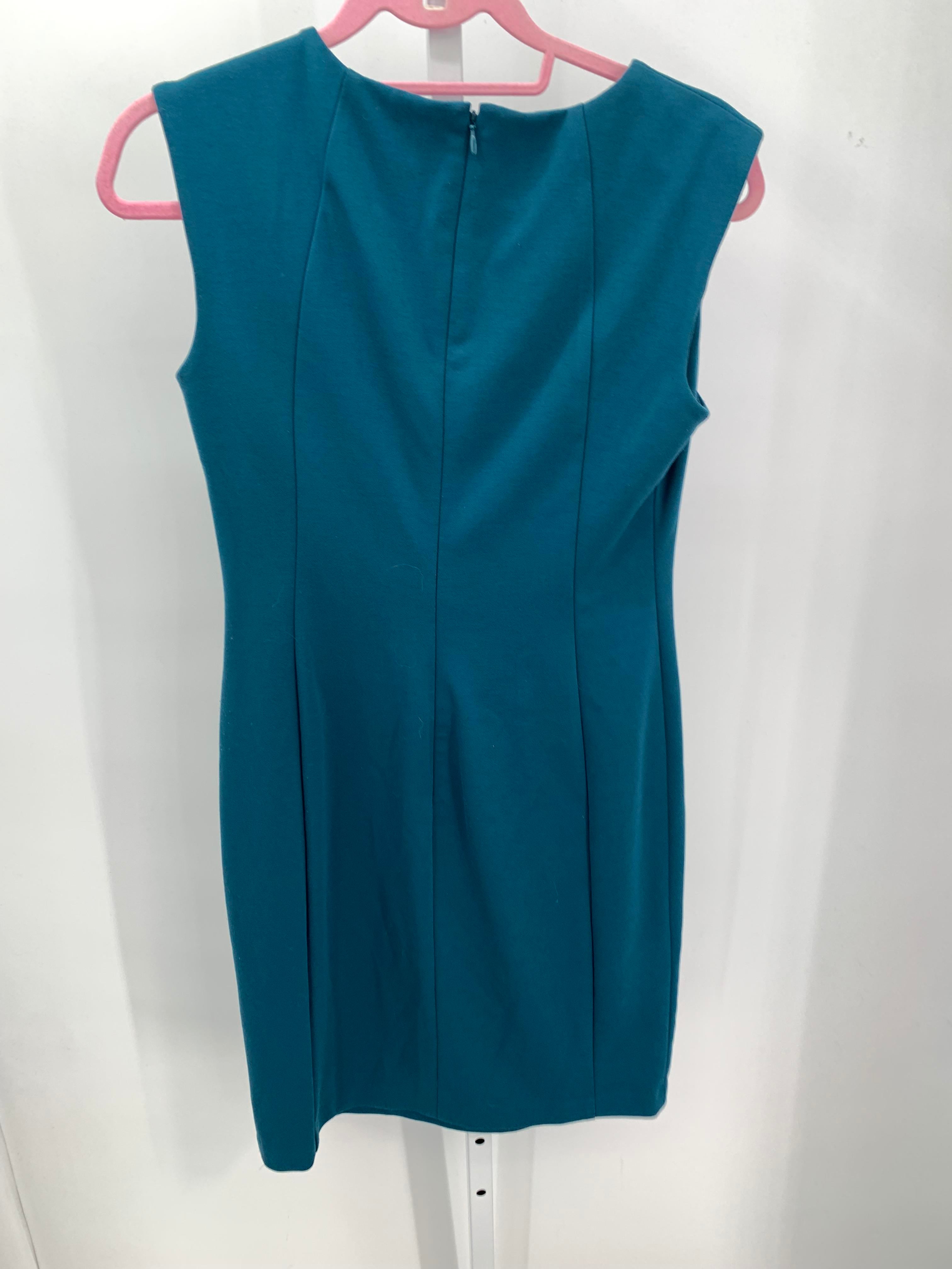 Calvin Klein Size 8 Misses Sleeveless Dress