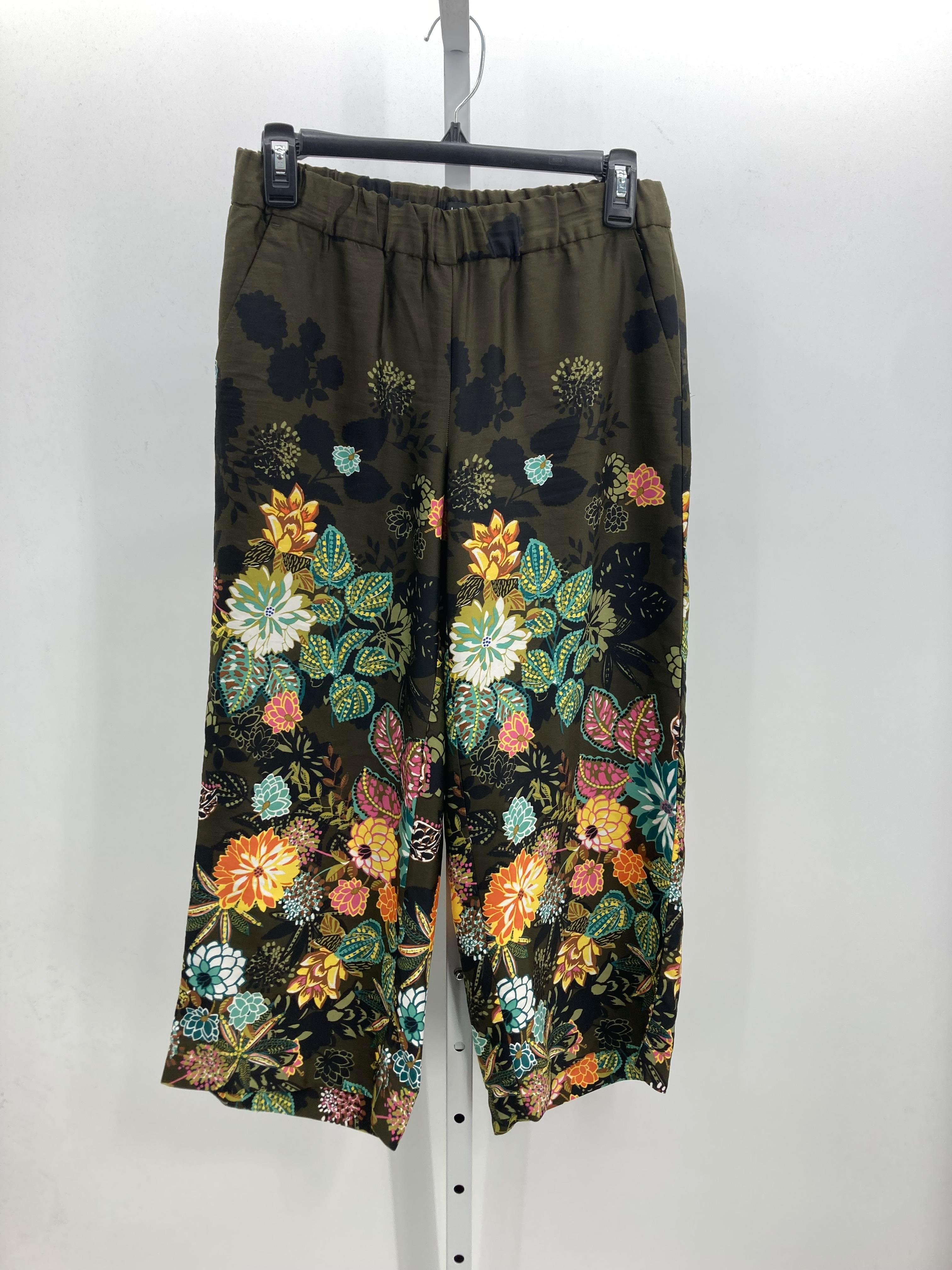 Loft Size X Small Petite Petite Pants
