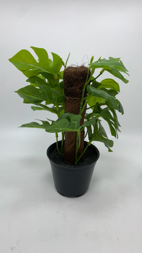 FAUX IVY PLANT IN BLACK PLASTIC POT.