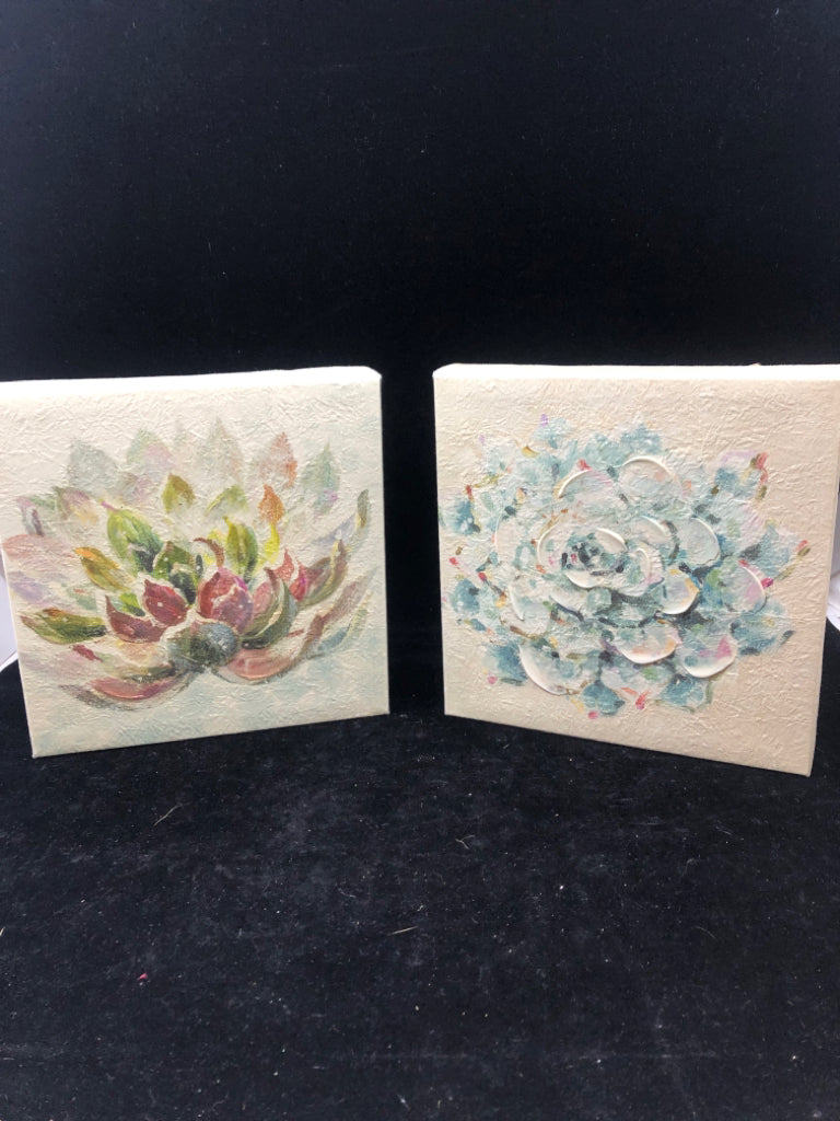 2 SMALL SQUARE ASSORTED SUCCULENTS CANVAS.