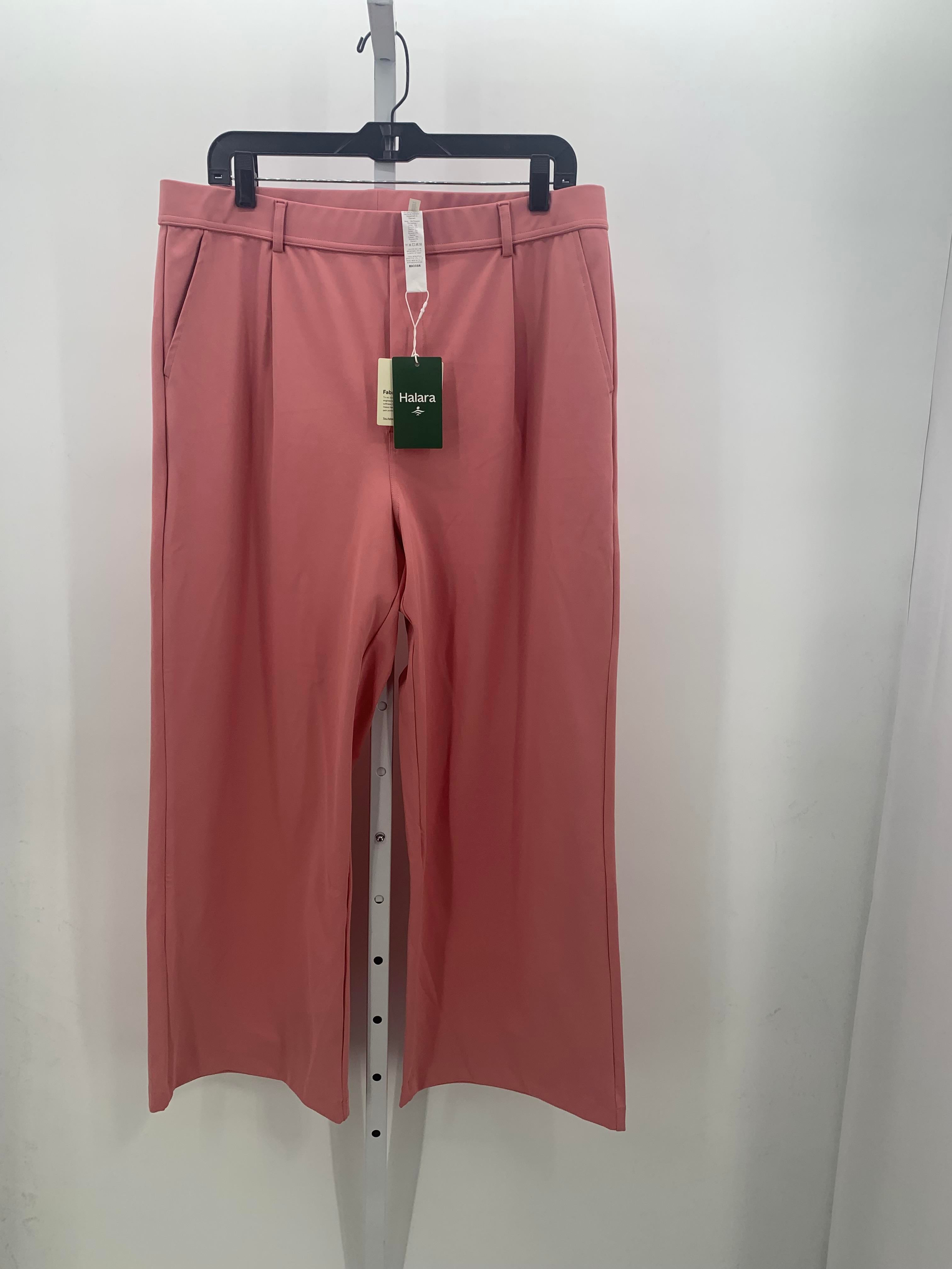 Size X Large Petite Petite Pants