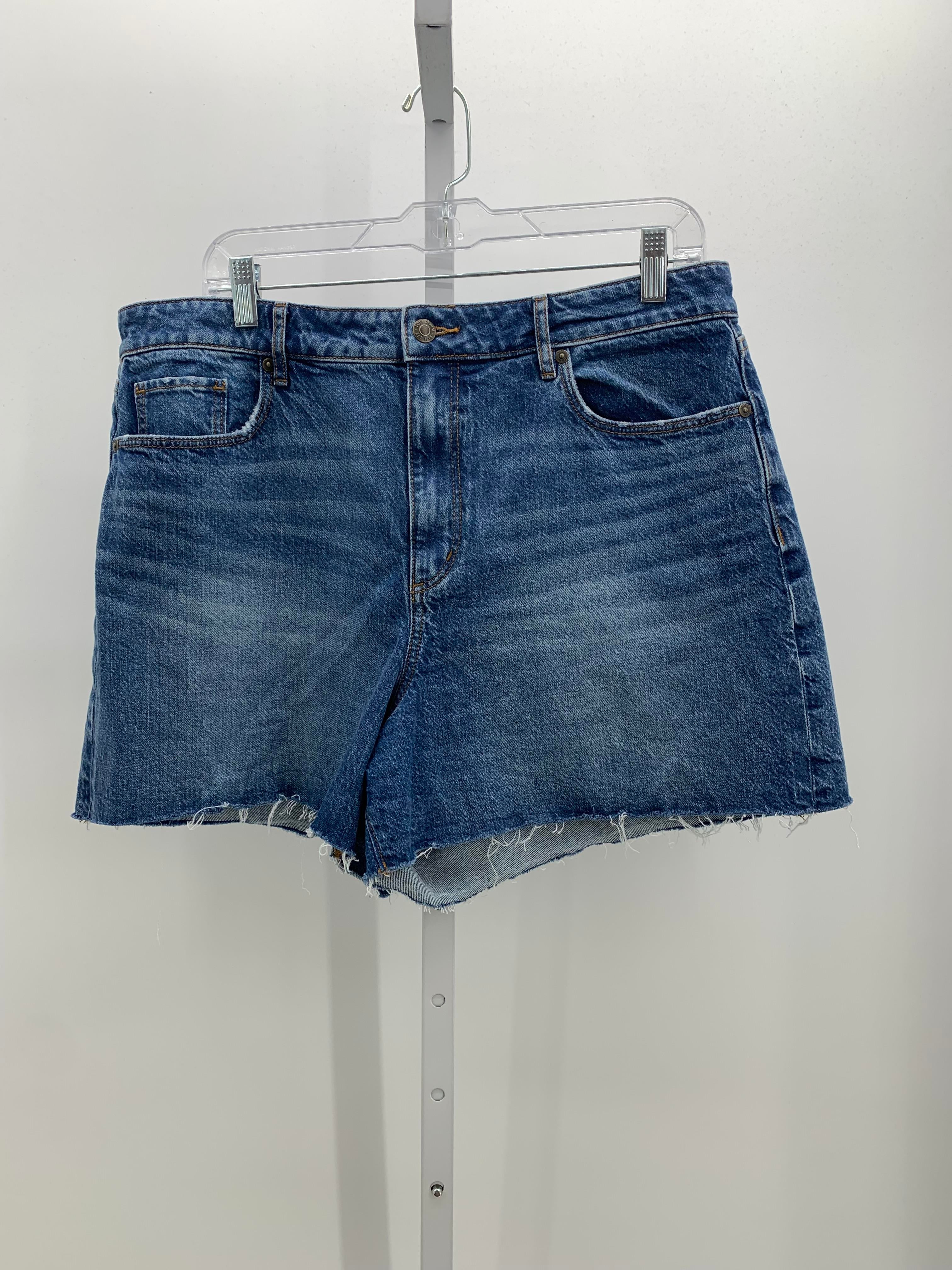 Loft Size 12 Misses Shorts