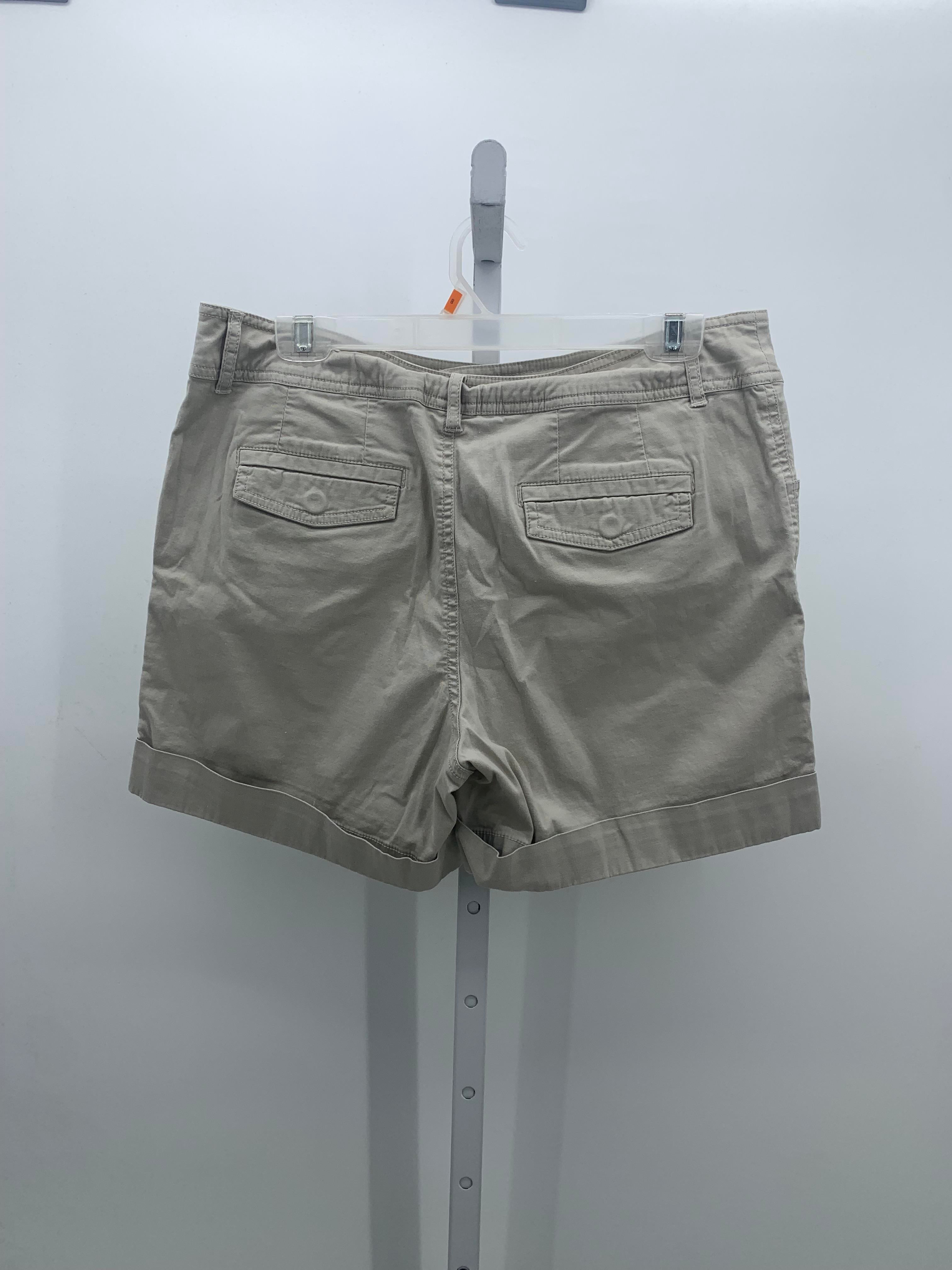 Dress Barn Size 12 Misses Shorts