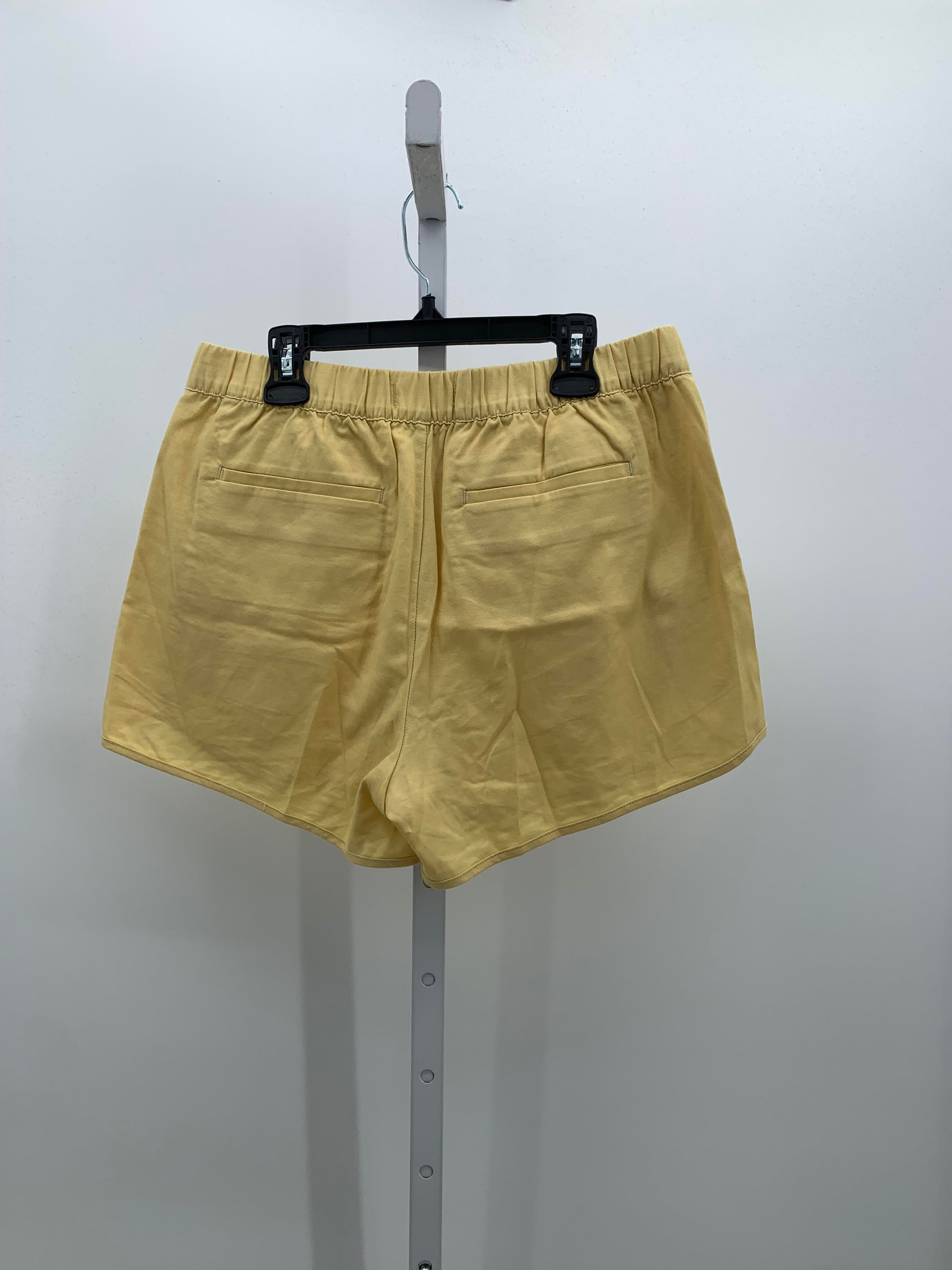 Madewell Size Small Misses Shorts