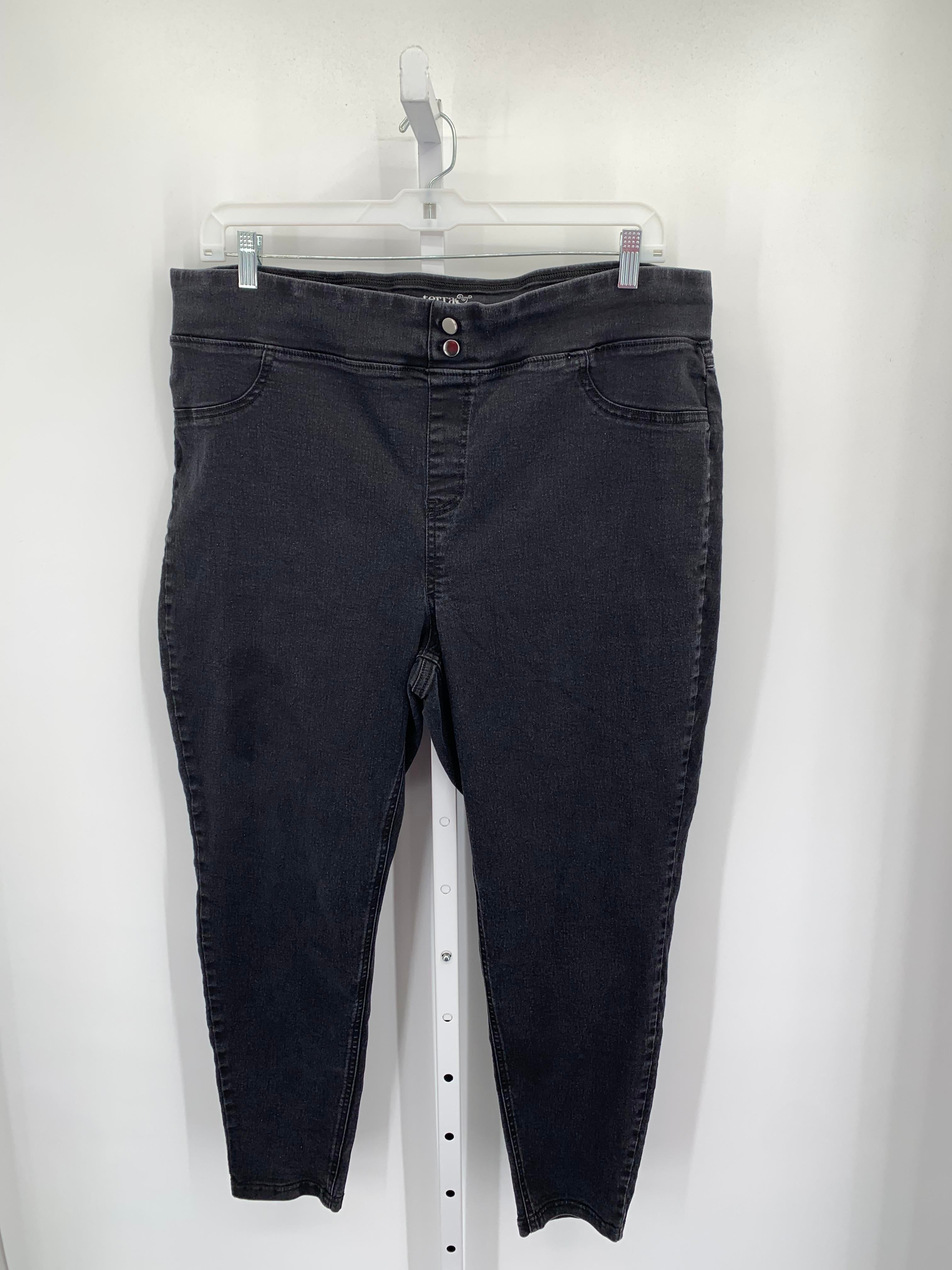 Terra & Sky Size 2X Womens Jeans