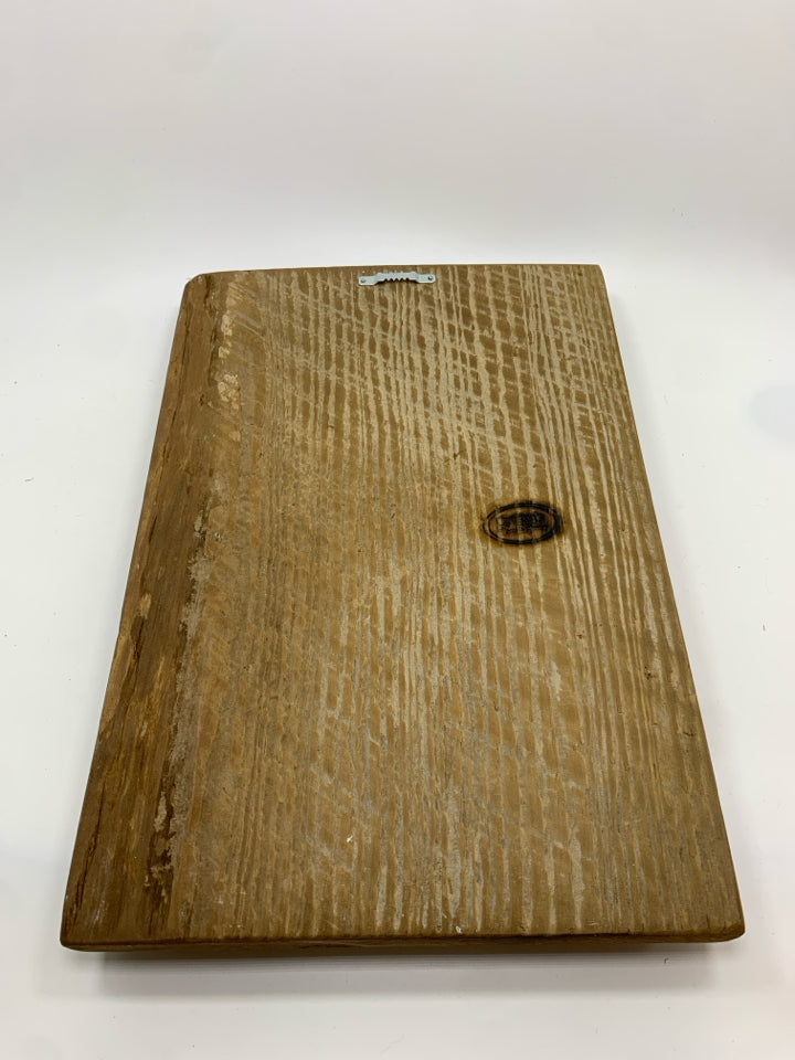 STRING ART SNAKE PLANT ON RUSTIC WOOD BLOCK.