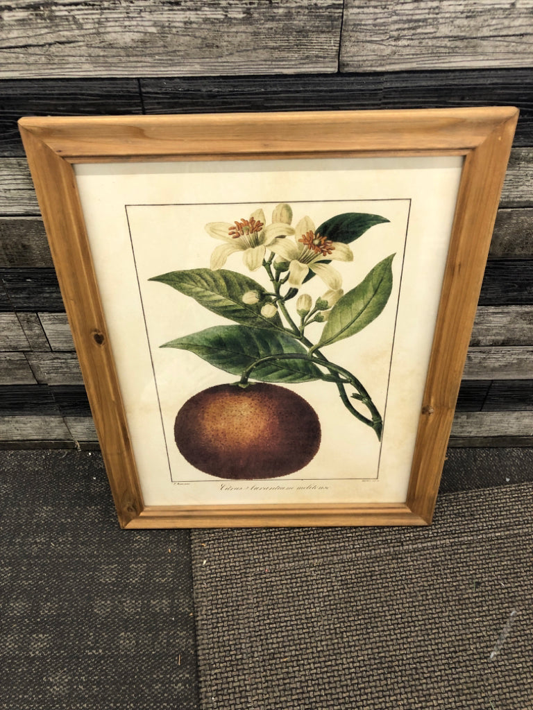 ORANGE AND FLOWER PRINT IN UNFINISHED WOOD FRAME.