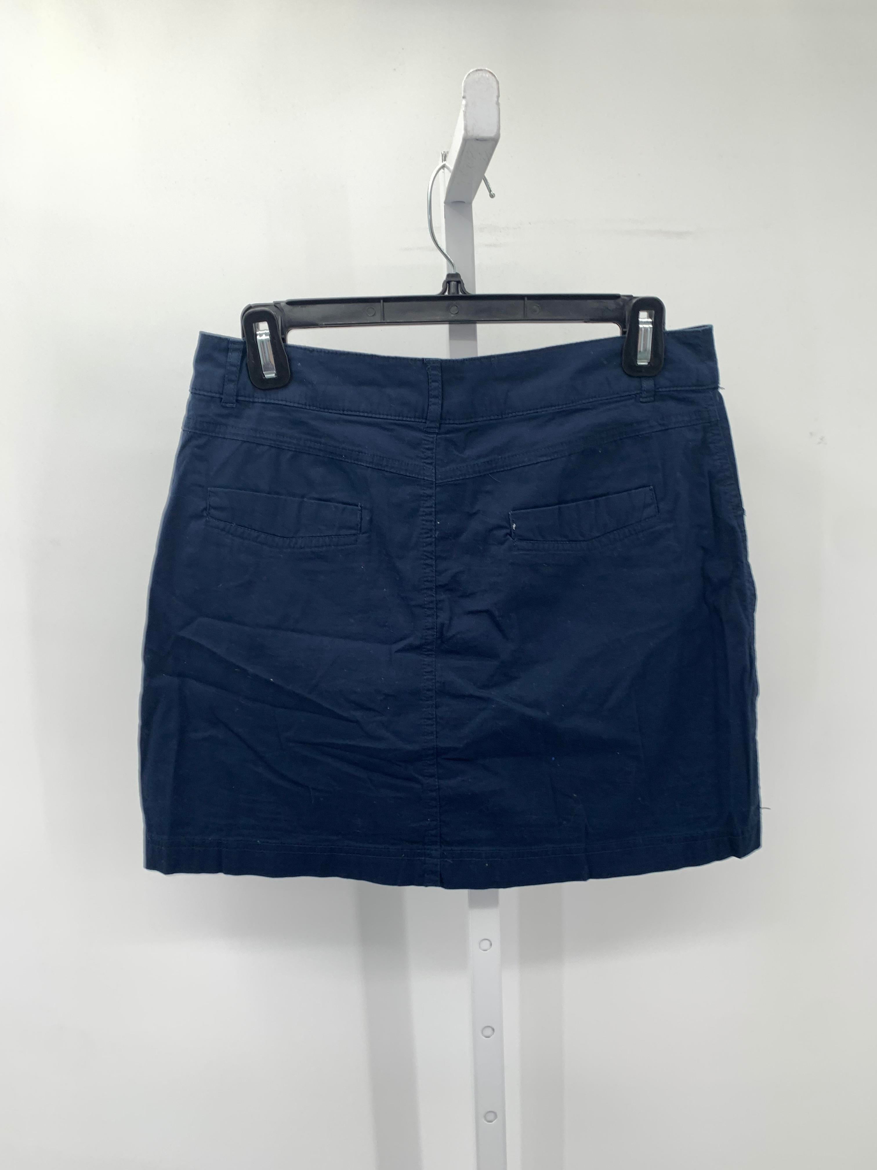 Dress Barn Size 4 Misses Skirt