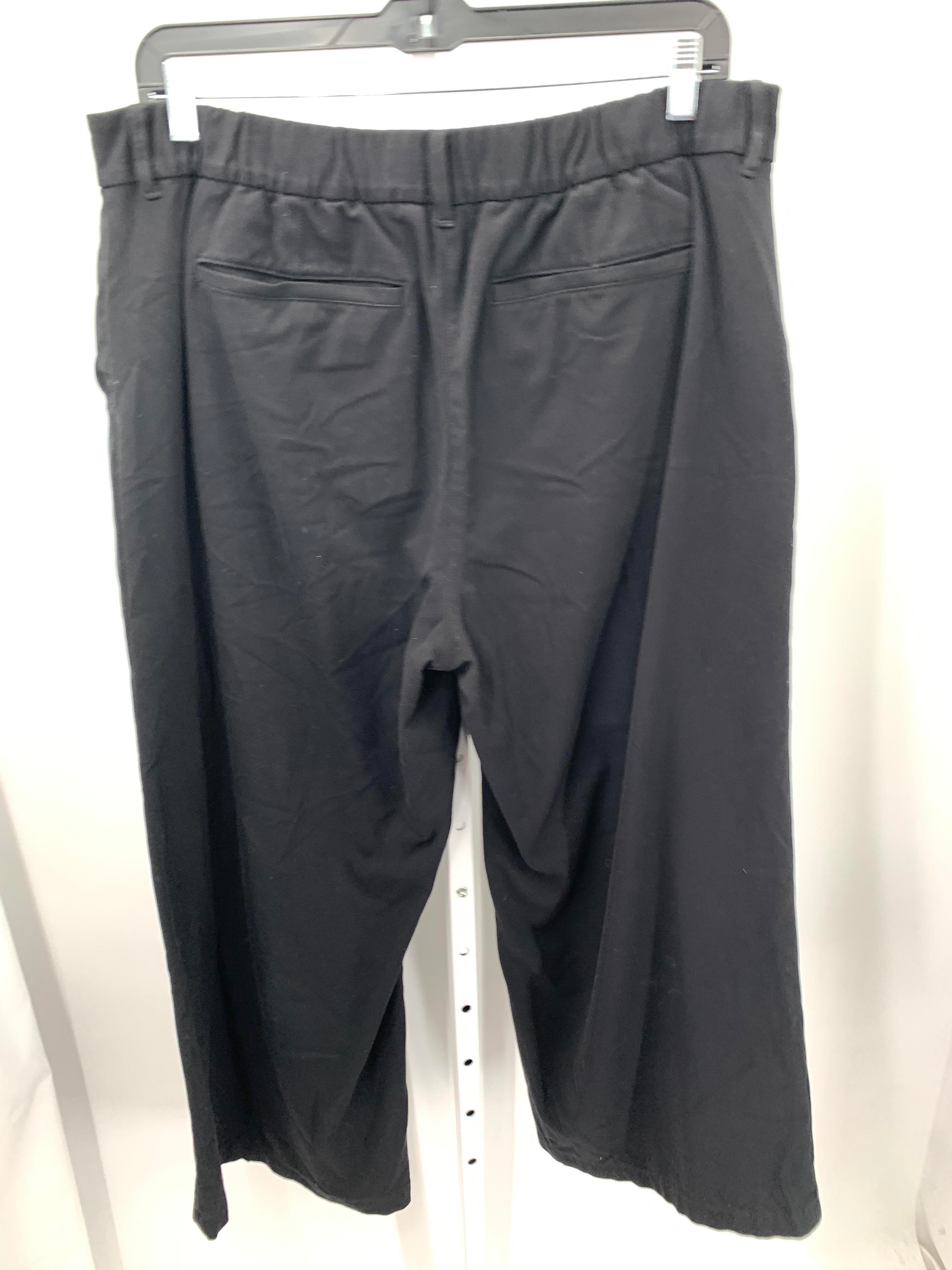 American Eagle Size 18 Juniors Pants