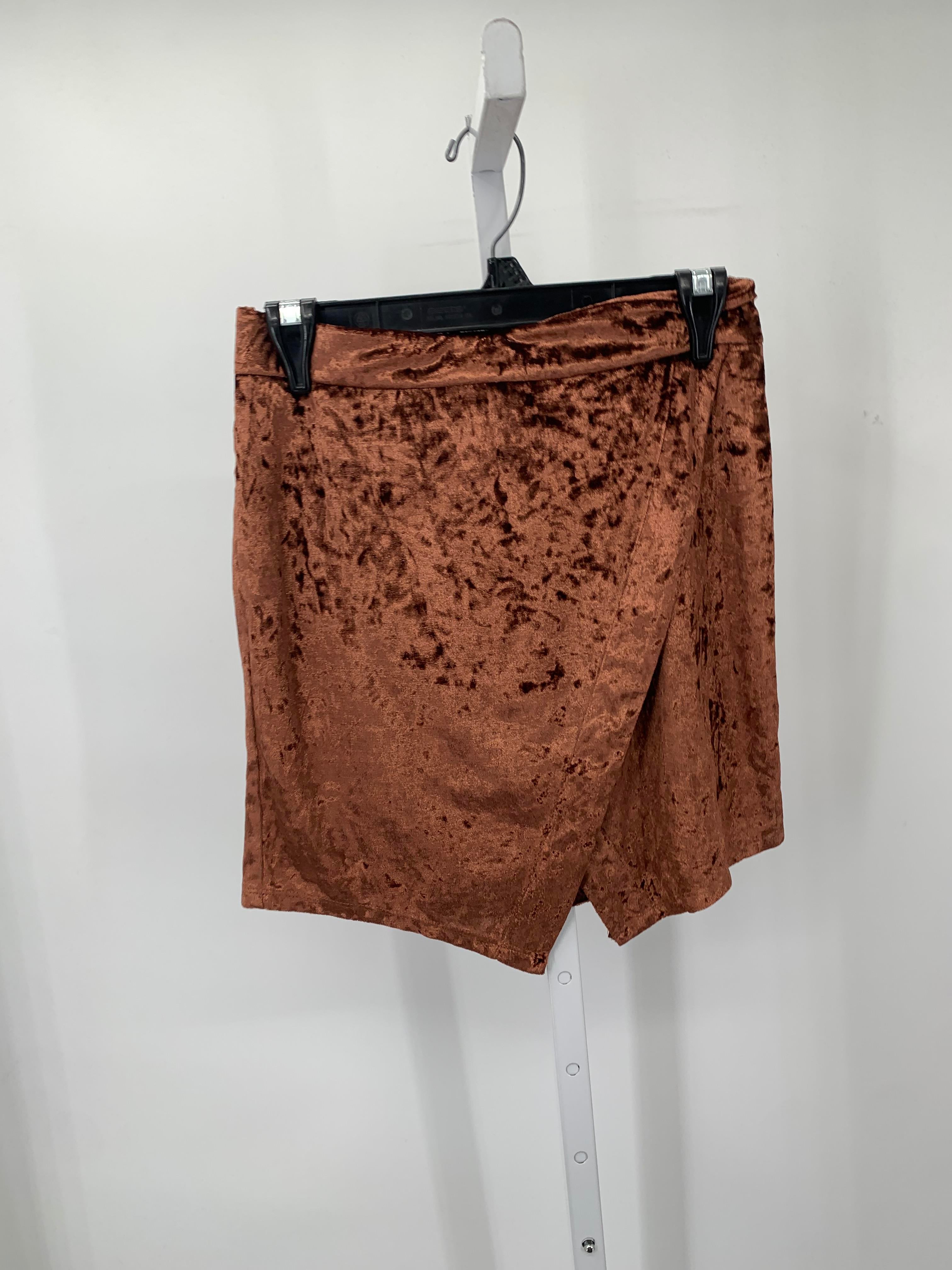 Size Medium Juniors Skirt