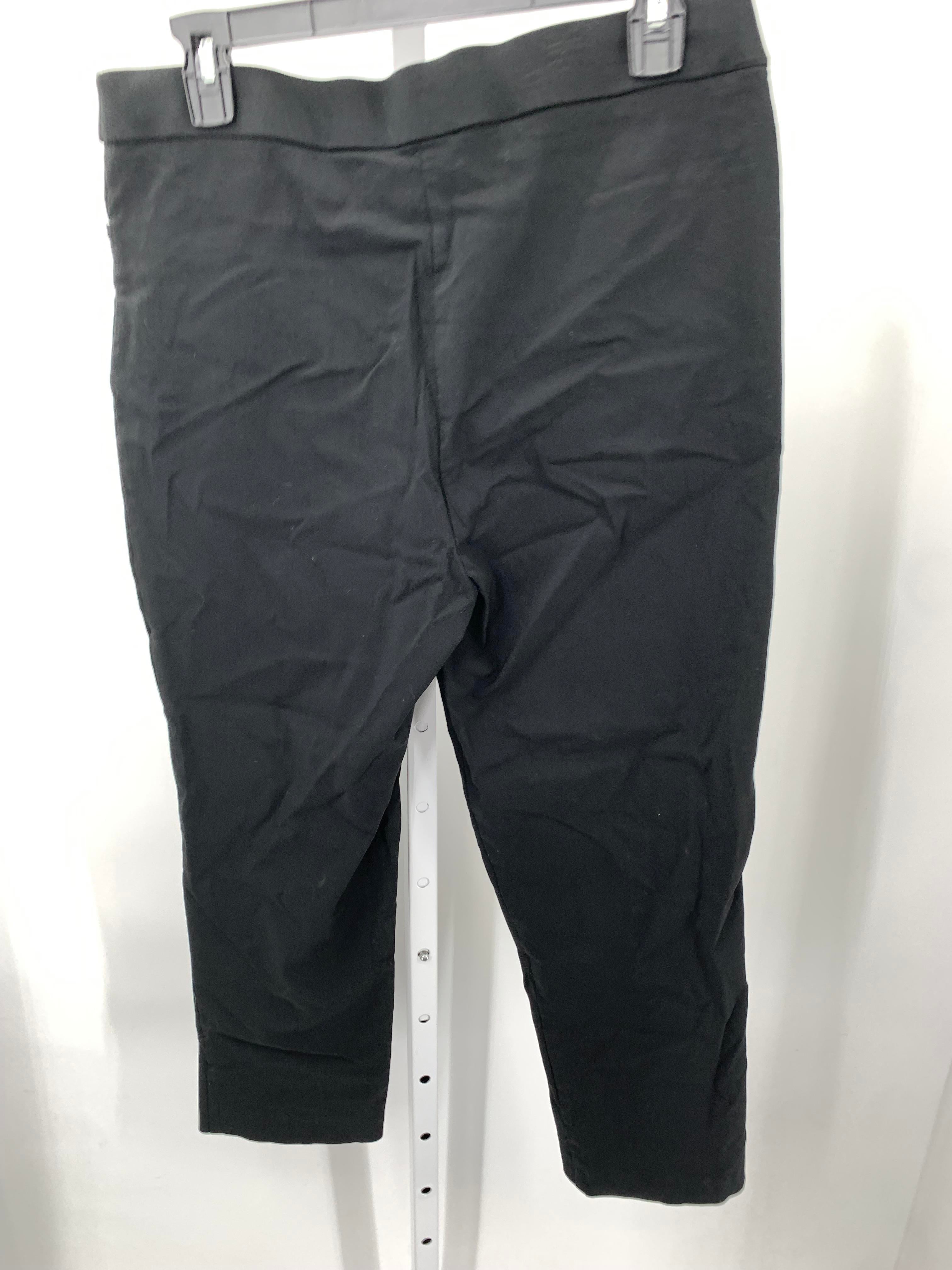 Alfred Dunner Size 12 Petite Petite Pants