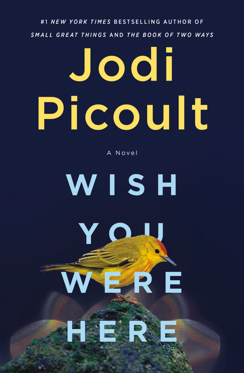 Wish You Were Here : a Novel (Paperback) -