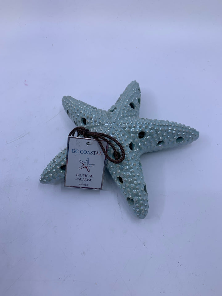 IRIDESCENT STARFISH PUPURI.