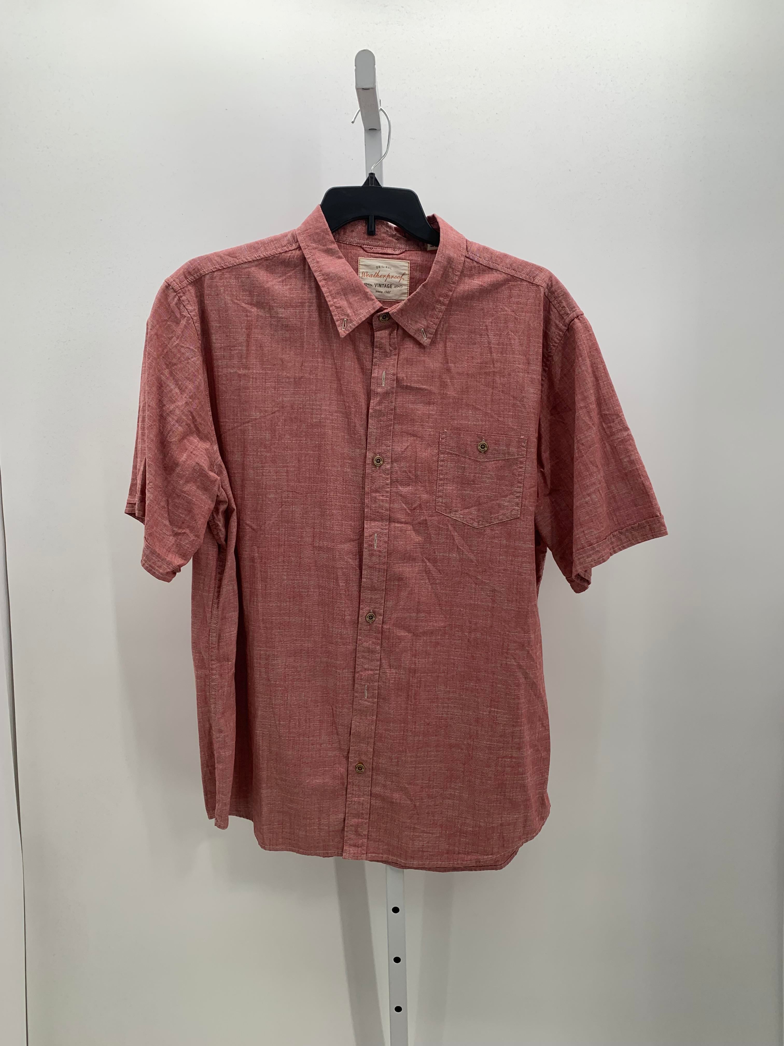 BTN DOWN SHIRT