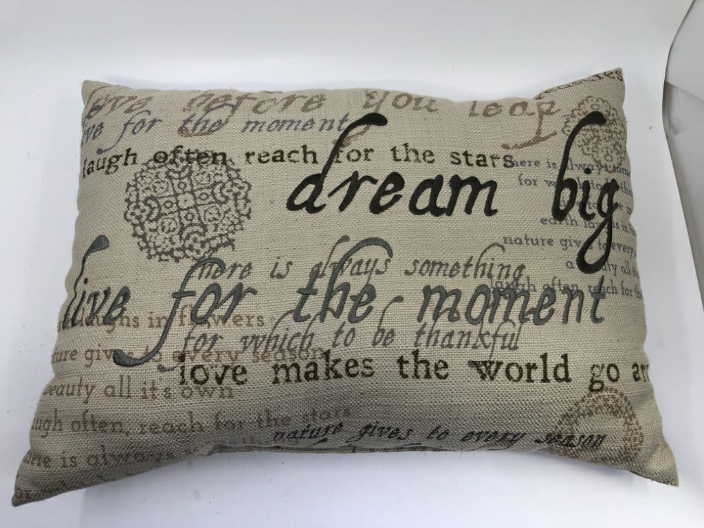 RECTANGLE PILLOW W SCRIPT "DREAM BIG".