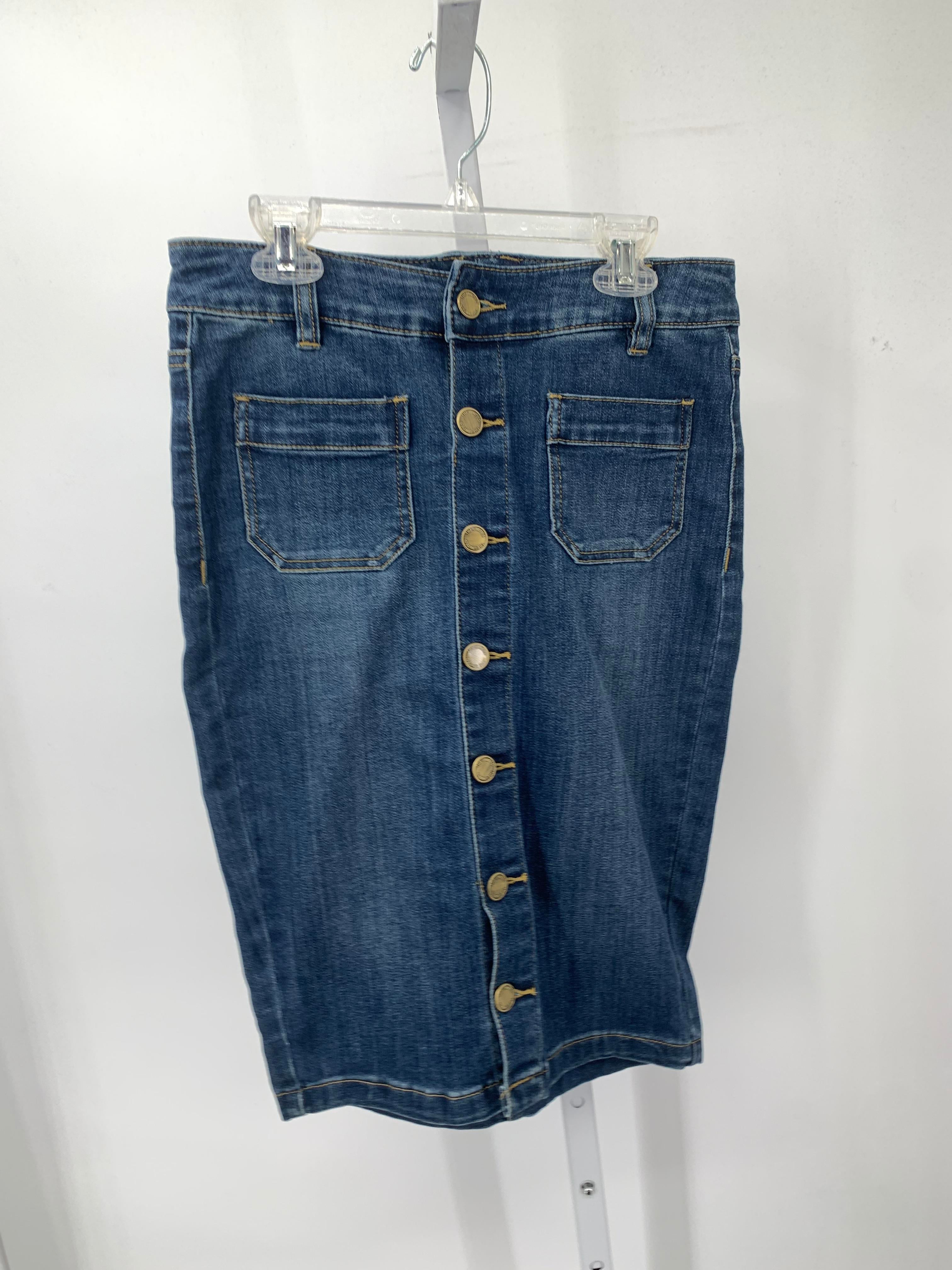 The Limited Size 2 Misses Skirt