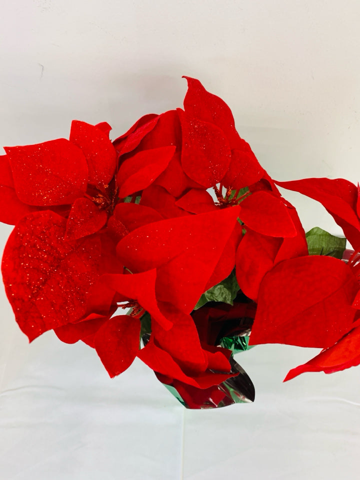 POINSETTIA IN GREEN FOIL.