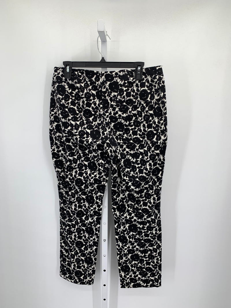 Talbots Size 12 Petite Petite Pants