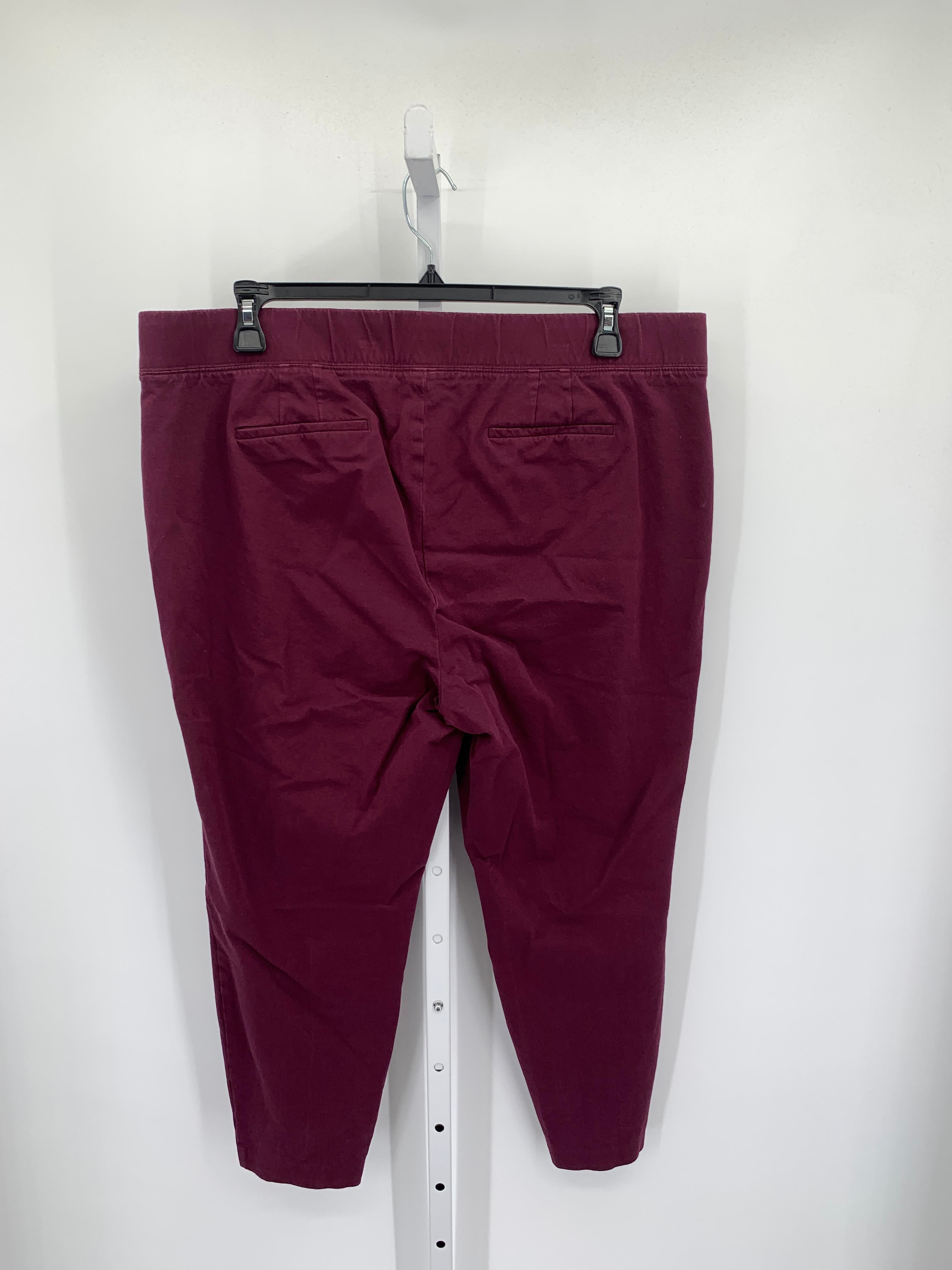 Talbots Size 20W Womens Pants