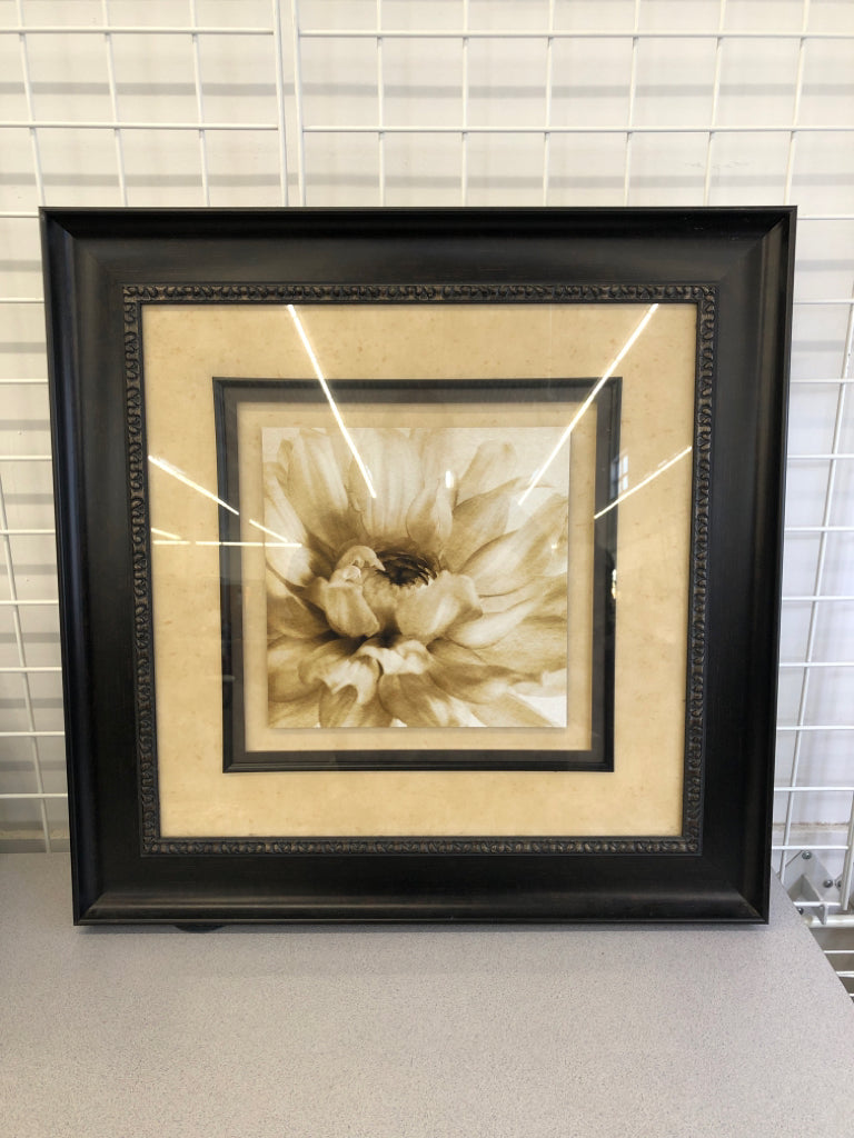 WHITE FLOWER IN LARGE BLACK FRAME.