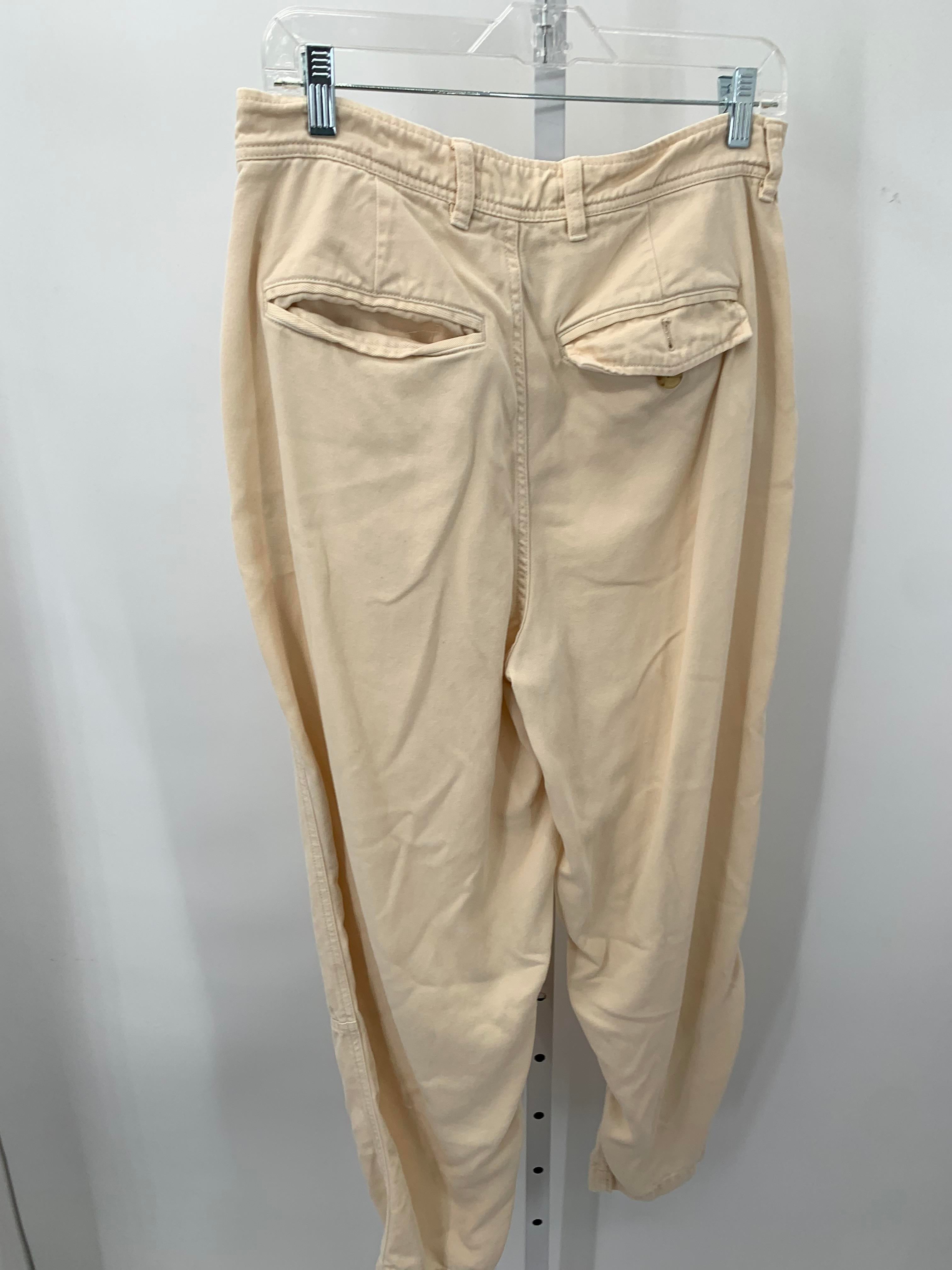 Everlane Size 8 Misses Pants